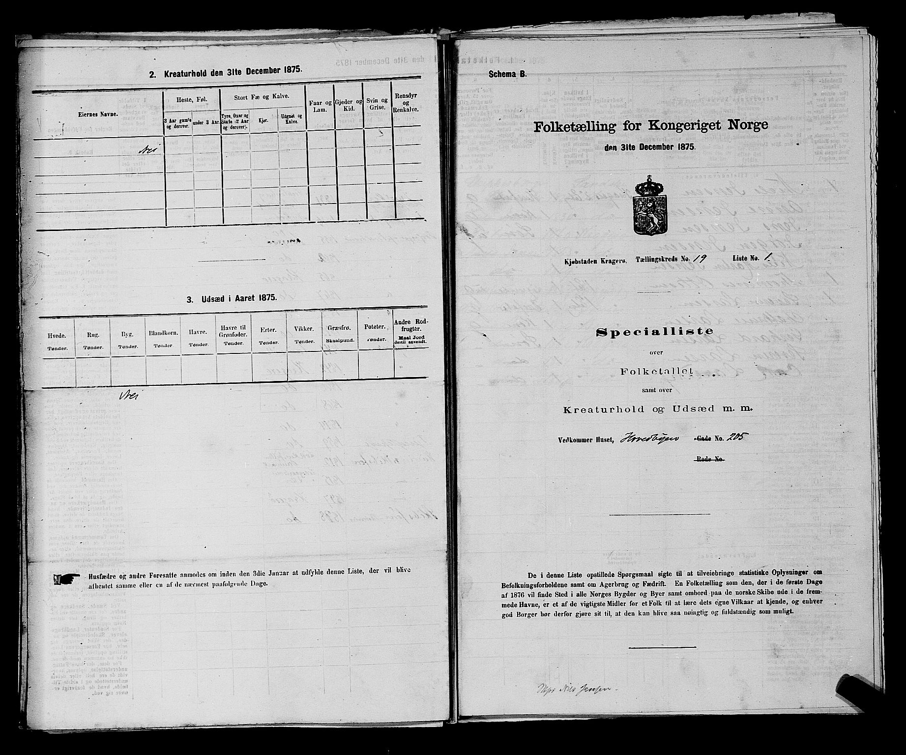 SAKO, 1875 census for 0801P Kragerø, 1875, p. 399