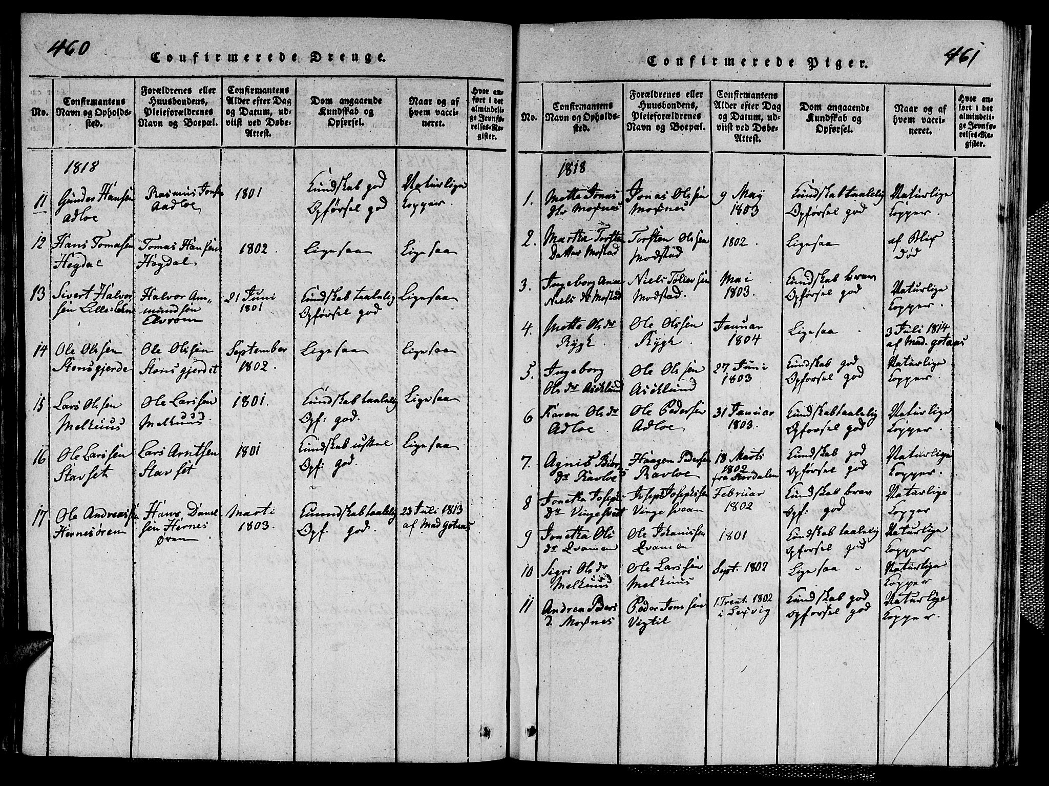 Ministerialprotokoller, klokkerbøker og fødselsregistre - Nord-Trøndelag, AV/SAT-A-1458/713/L0124: Parish register (copy) no. 713C01, 1817-1827, p. 460-461