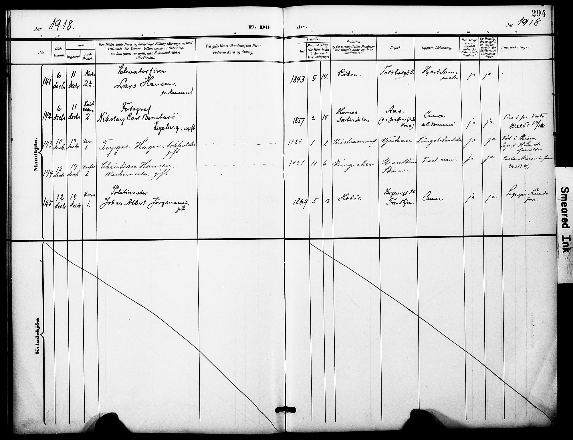 Oslo domkirke Kirkebøker, AV/SAO-A-10752/F/Fa/L0036: Parish register (official) no. 36, 1901-1919, p. 294