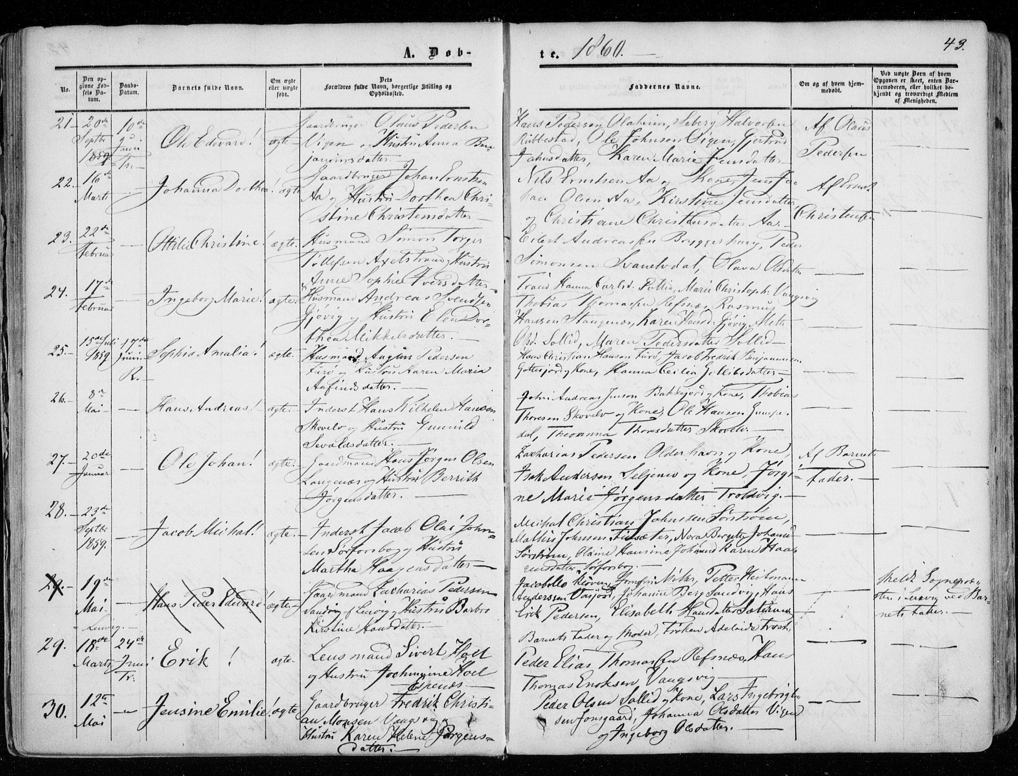Tranøy sokneprestkontor, SATØ/S-1313/I/Ia/Iaa/L0007kirke: Parish register (official) no. 7, 1856-1866, p. 43
