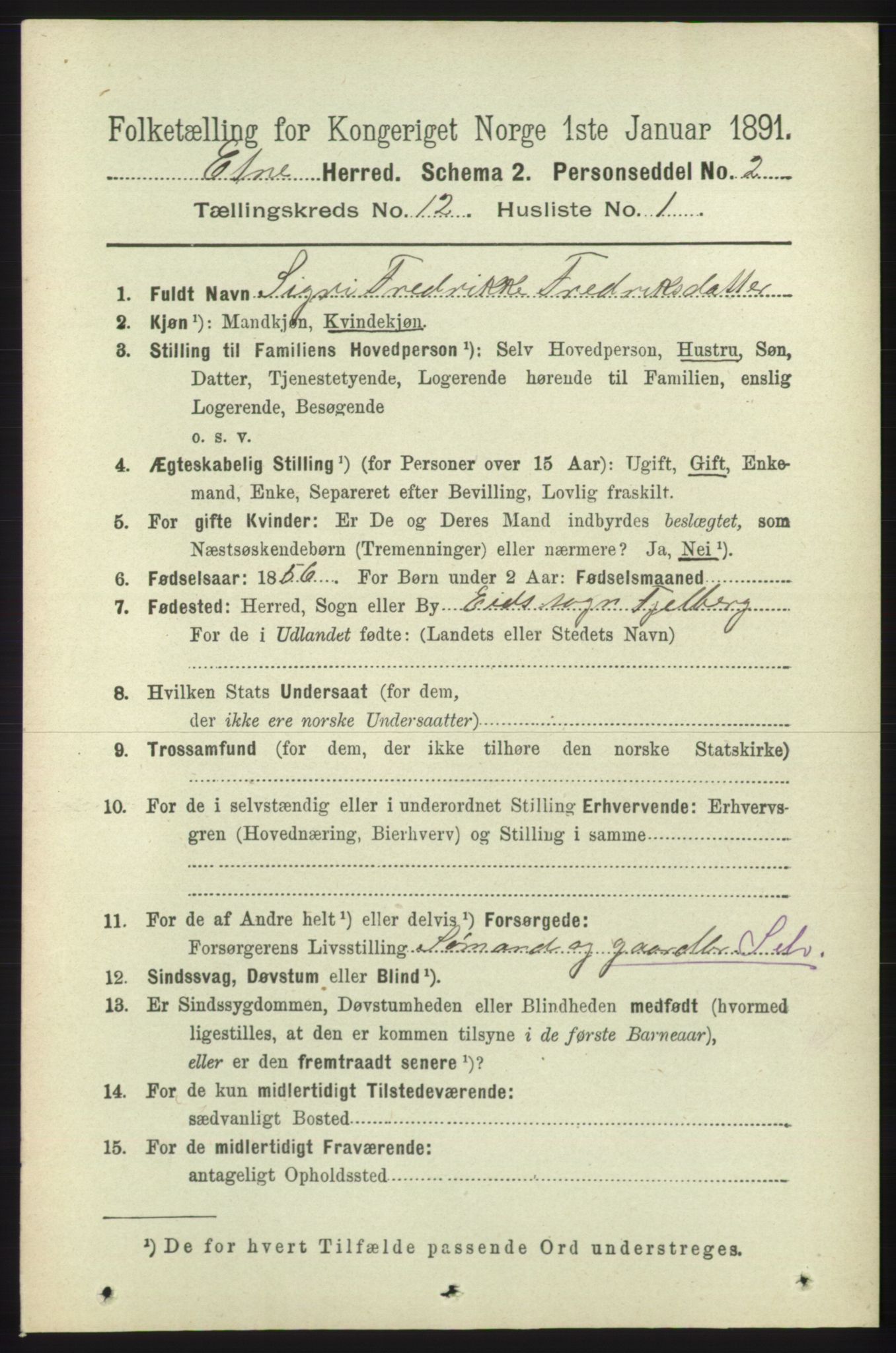 RA, 1891 census for 1211 Etne, 1891, p. 2556