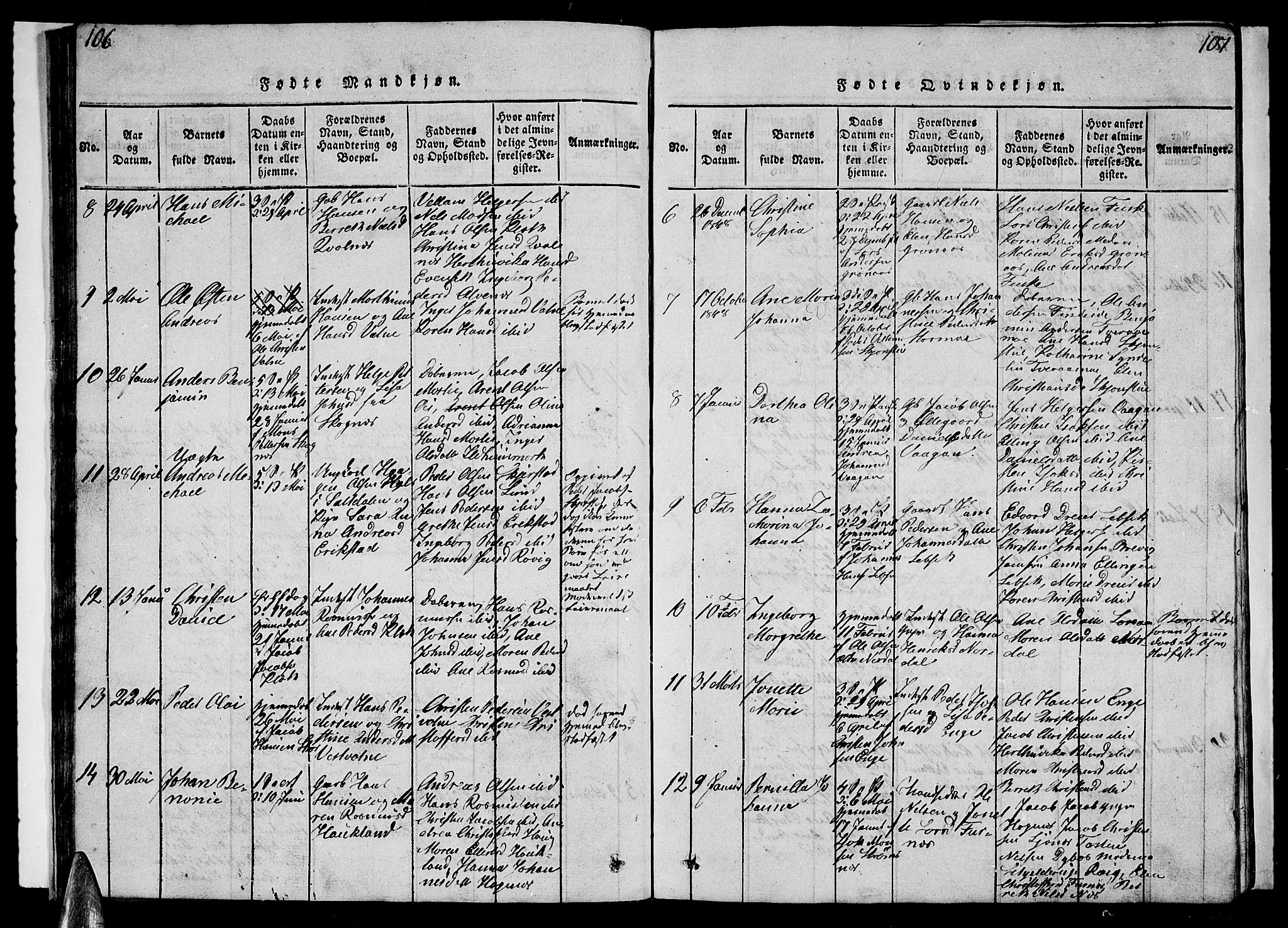 Ministerialprotokoller, klokkerbøker og fødselsregistre - Nordland, AV/SAT-A-1459/852/L0752: Parish register (copy) no. 852C03, 1840-1855, p. 106-107