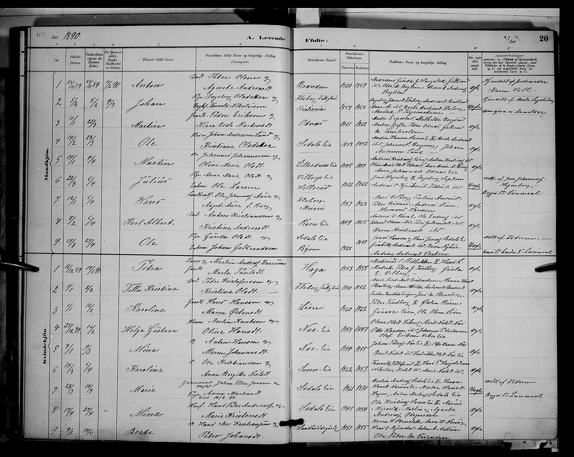 Søndre Land prestekontor, SAH/PREST-122/L/L0003: Parish register (copy) no. 3, 1884-1902, p. 20