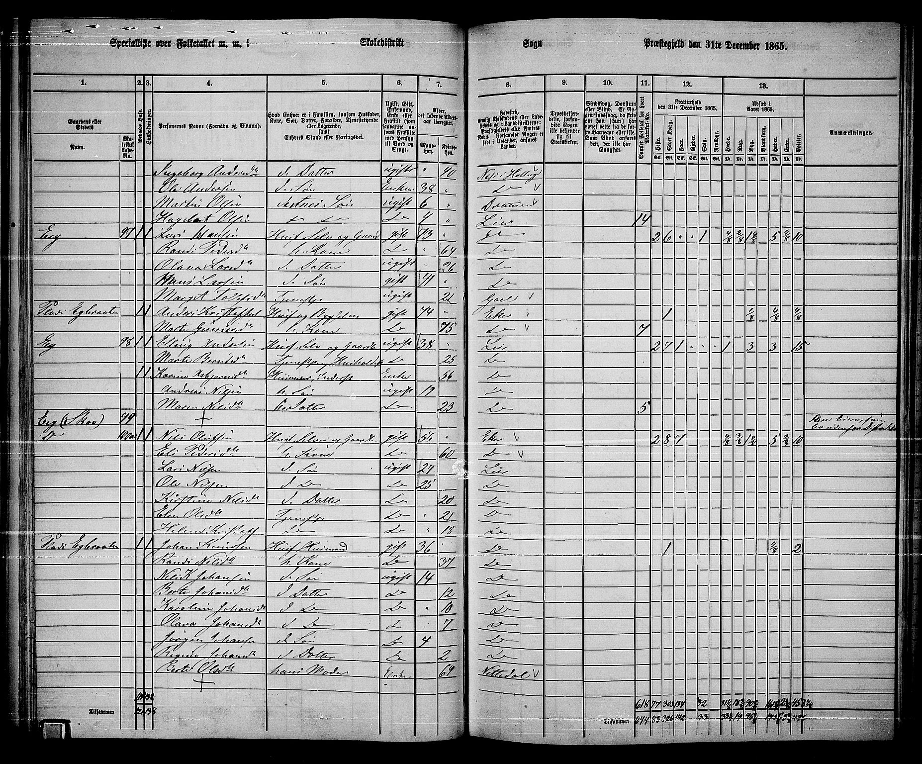 RA, 1865 census for Lier, 1865, p. 62