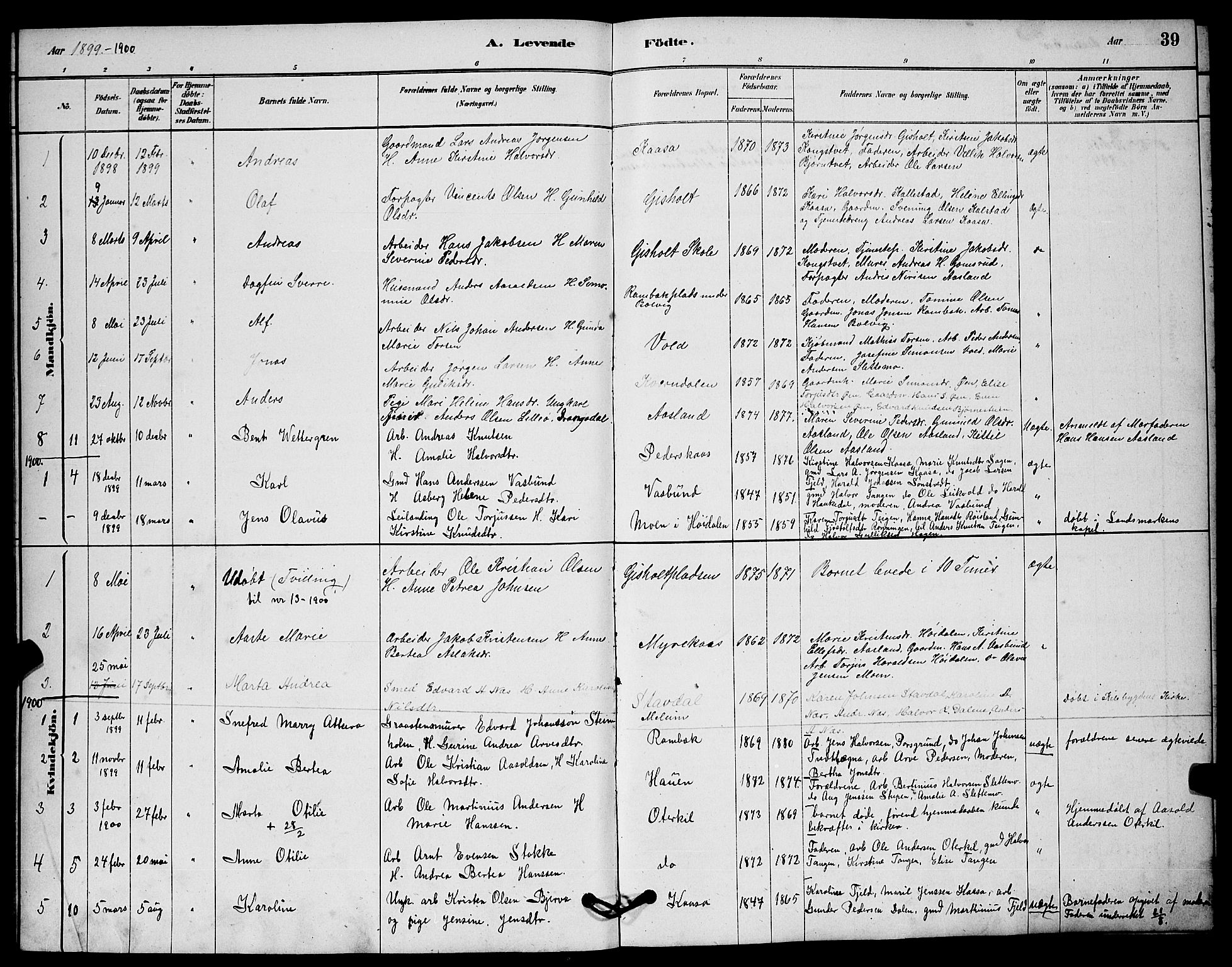 Solum kirkebøker, AV/SAKO-A-306/G/Gc/L0001: Parish register (copy) no. III 1, 1880-1902, p. 39