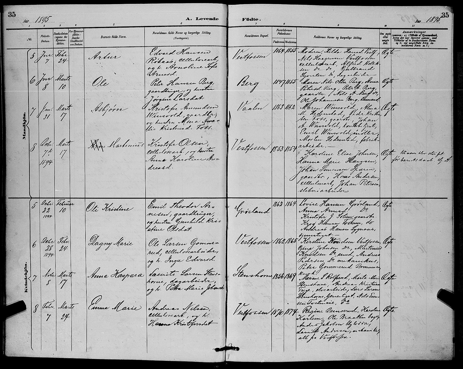 Eiker kirkebøker, SAKO/A-4/G/Ga/L0007: Parish register (copy) no. I 7, 1893-1902, p. 35