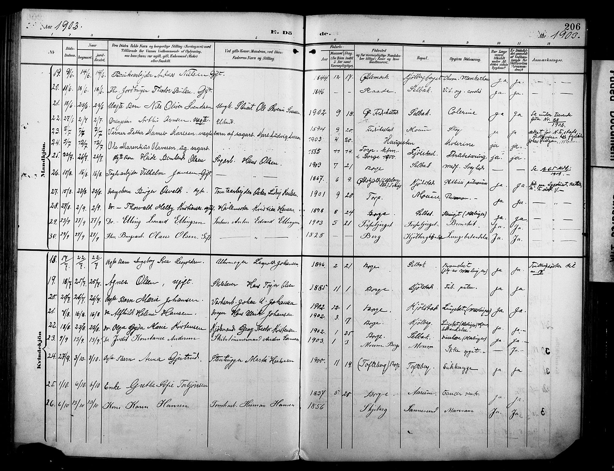 Borge prestekontor Kirkebøker, AV/SAO-A-10903/F/Fa/L0009: Parish register (official) no. I 9, 1902-1911, p. 206