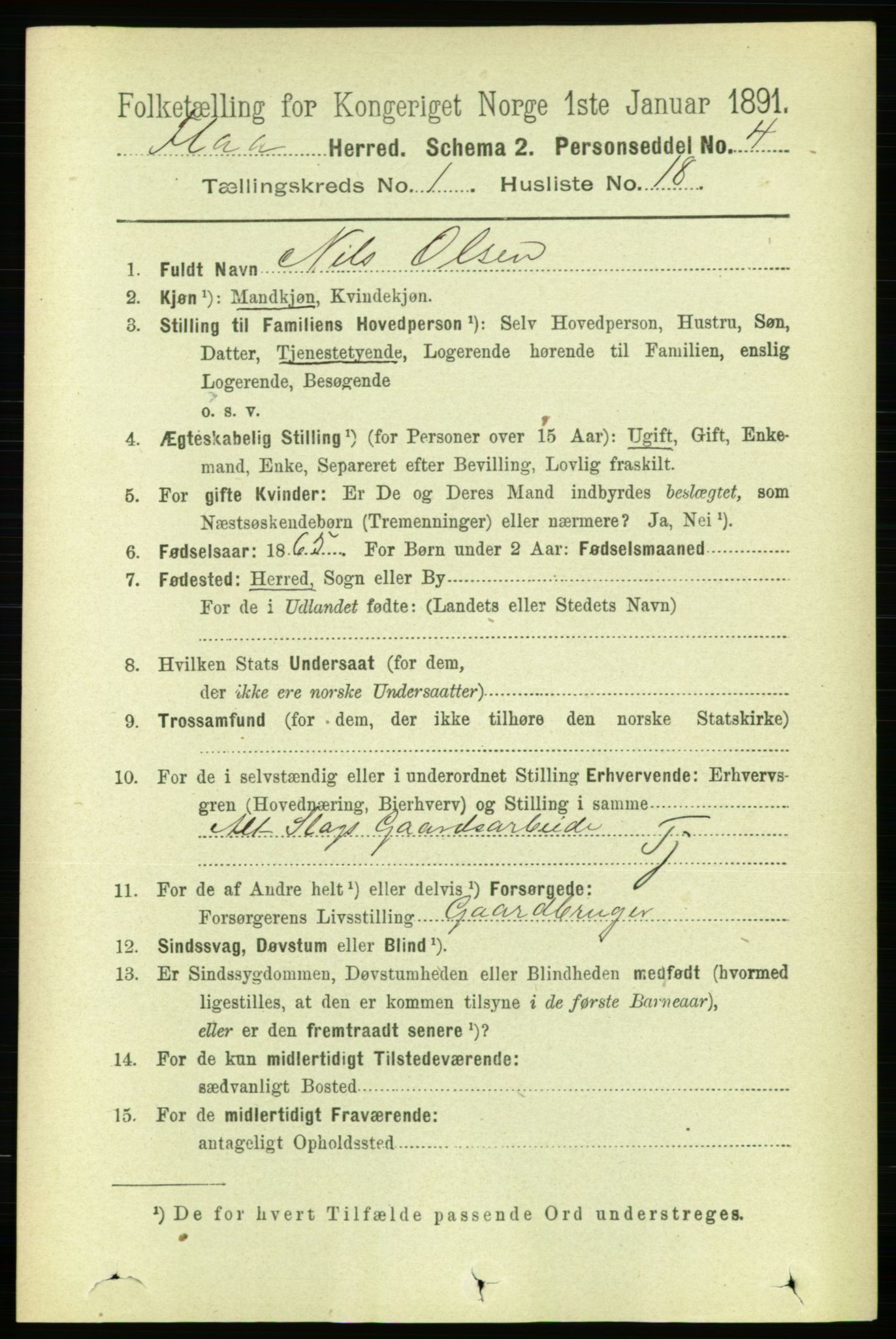 RA, 1891 census for 1652 Flå, 1891, p. 217