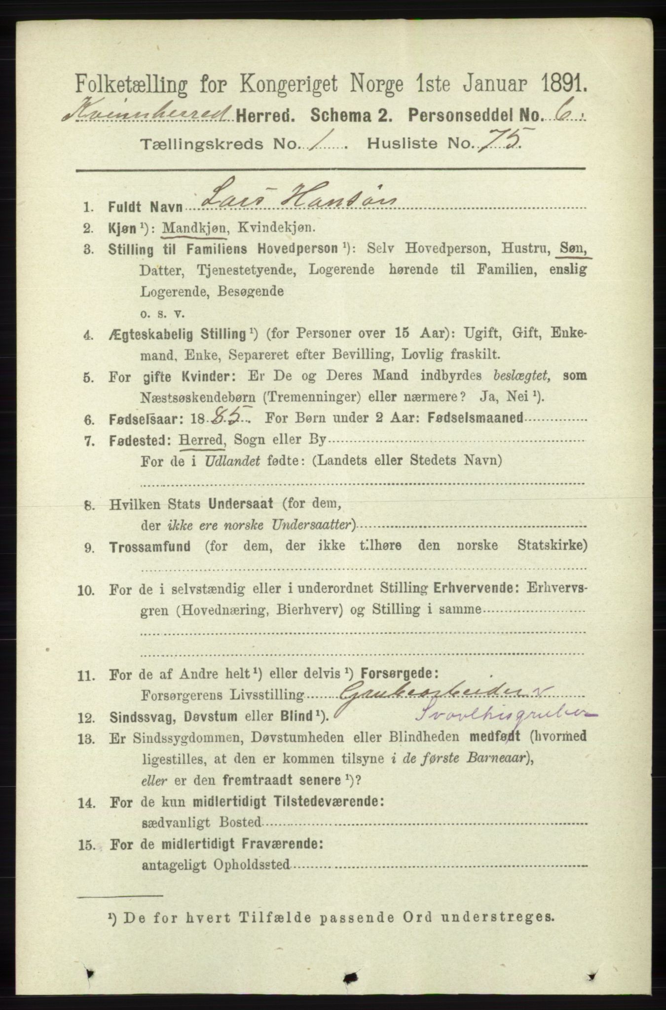 RA, 1891 census for 1224 Kvinnherad, 1891, p. 584