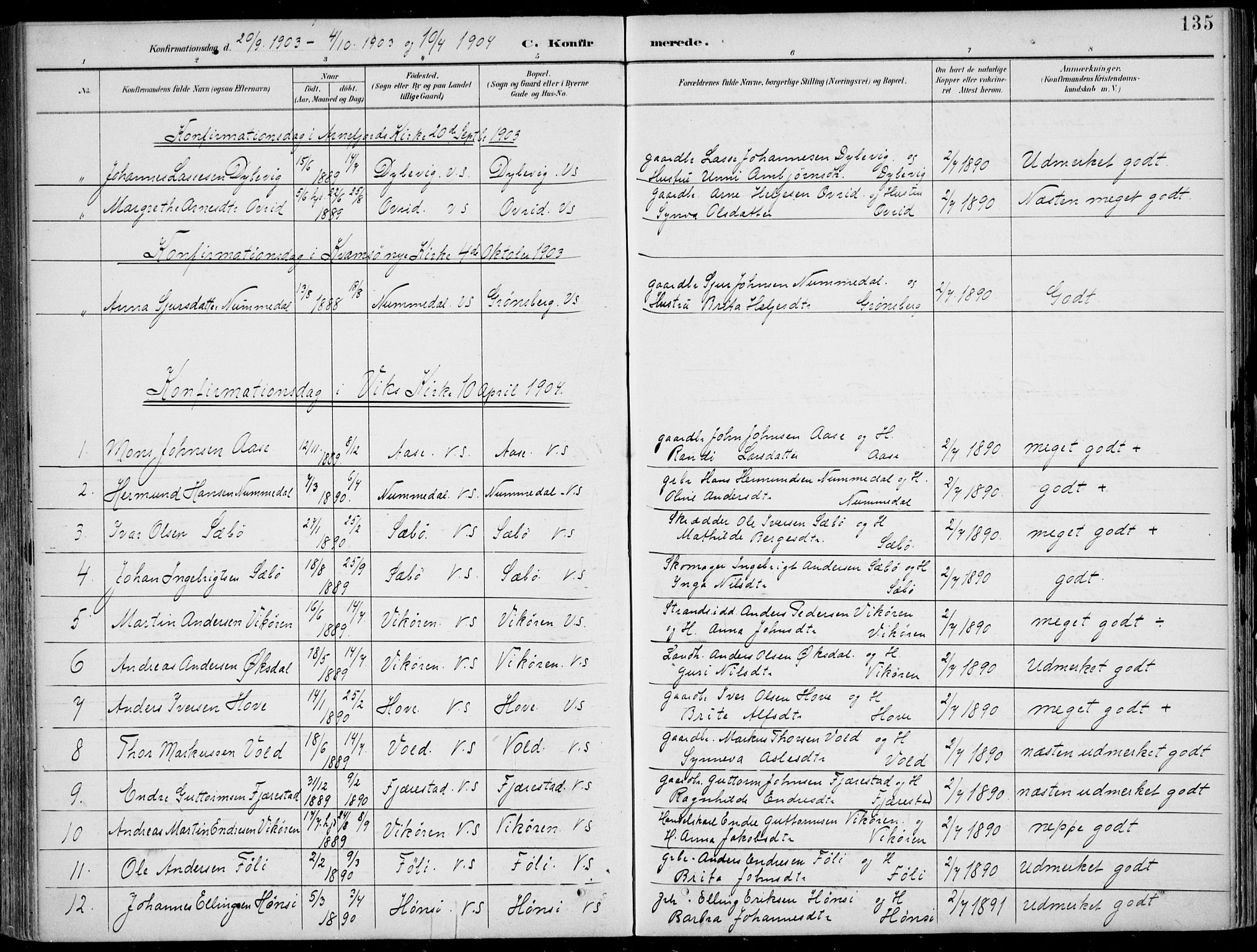 Vik sokneprestembete, AV/SAB-A-81501/H/Haa/Haab/L0002: Parish register (official) no. B  2, 1891-1907, p. 135