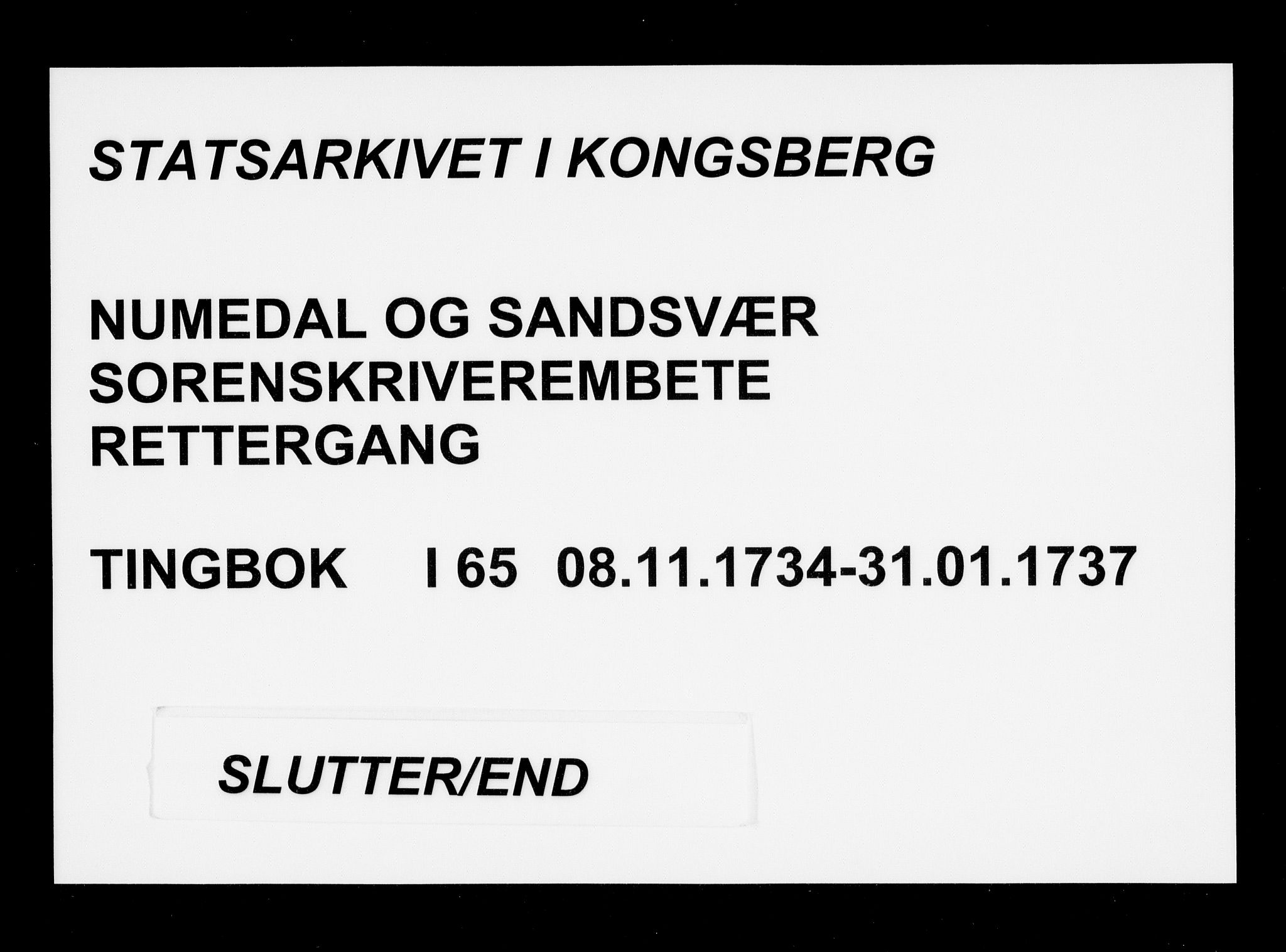 Numedal og Sandsvær sorenskriveri, AV/SAKO-A-128/F/Fa/Faa/L0065: Tingbøker, 1734-1737