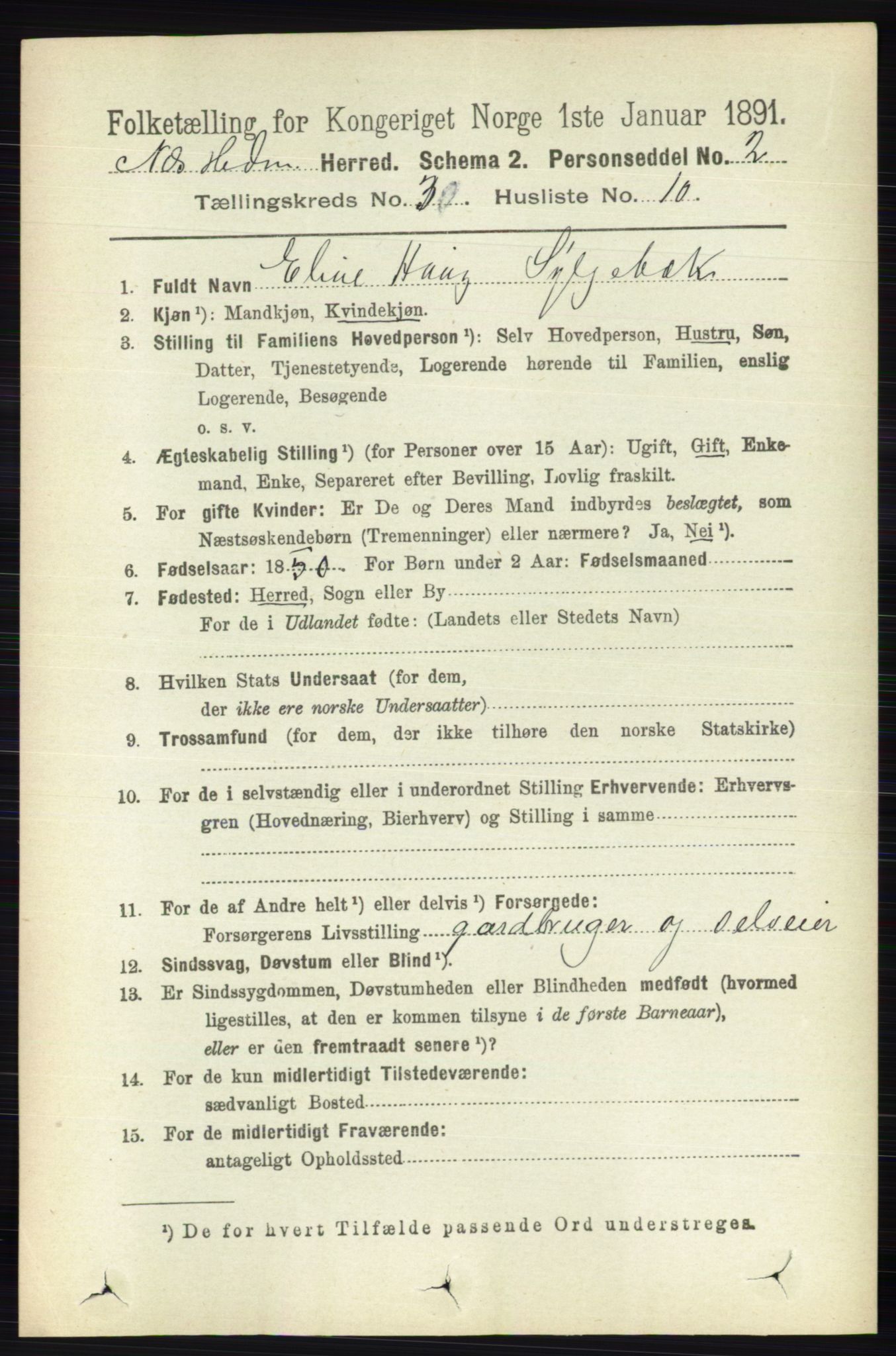 RA, 1891 census for 0411 Nes, 1891, p. 1640