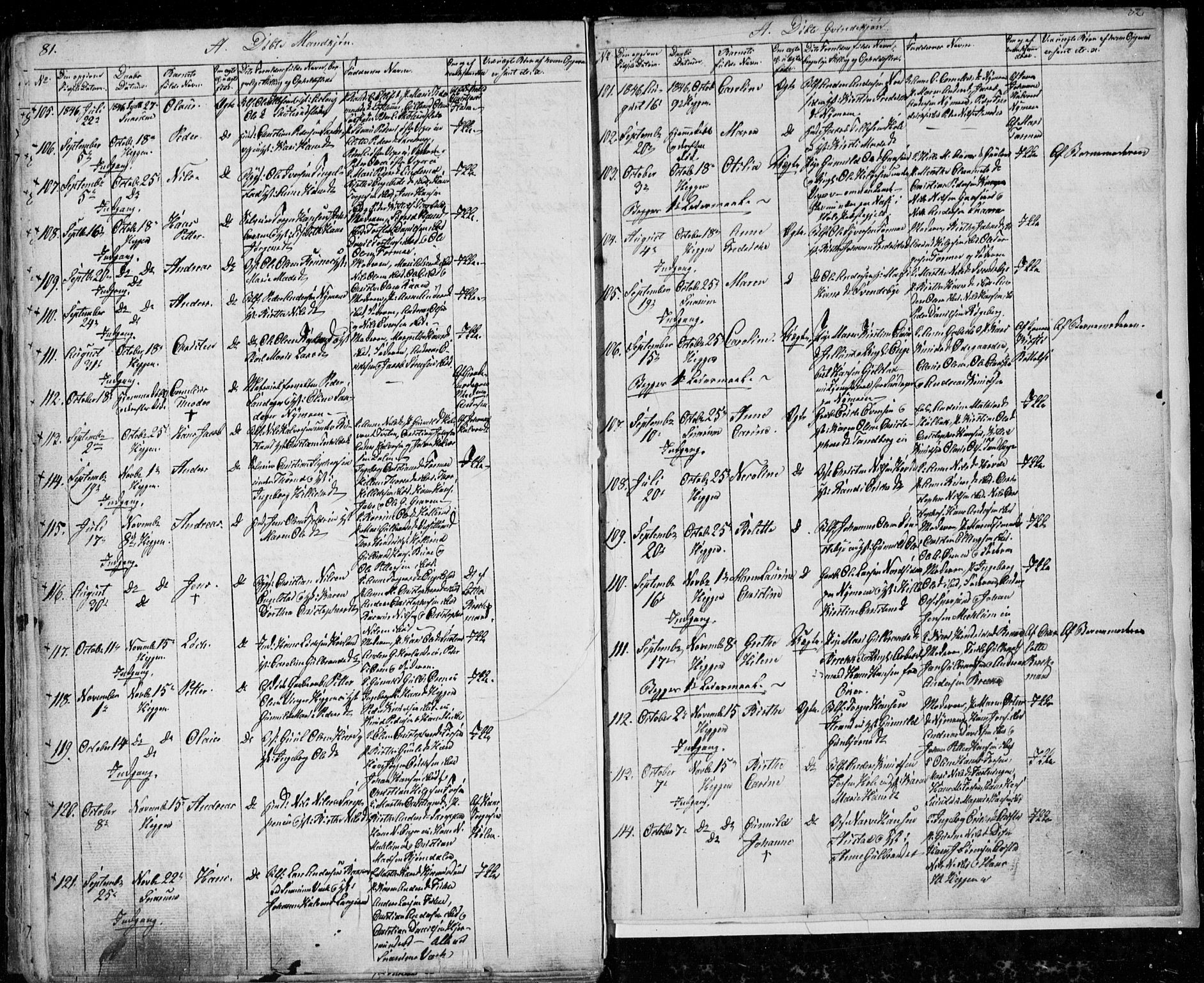 Modum kirkebøker, SAKO/A-234/G/Ga/L0004: Parish register (copy) no. I 4, 1843-1846, p. 81-82