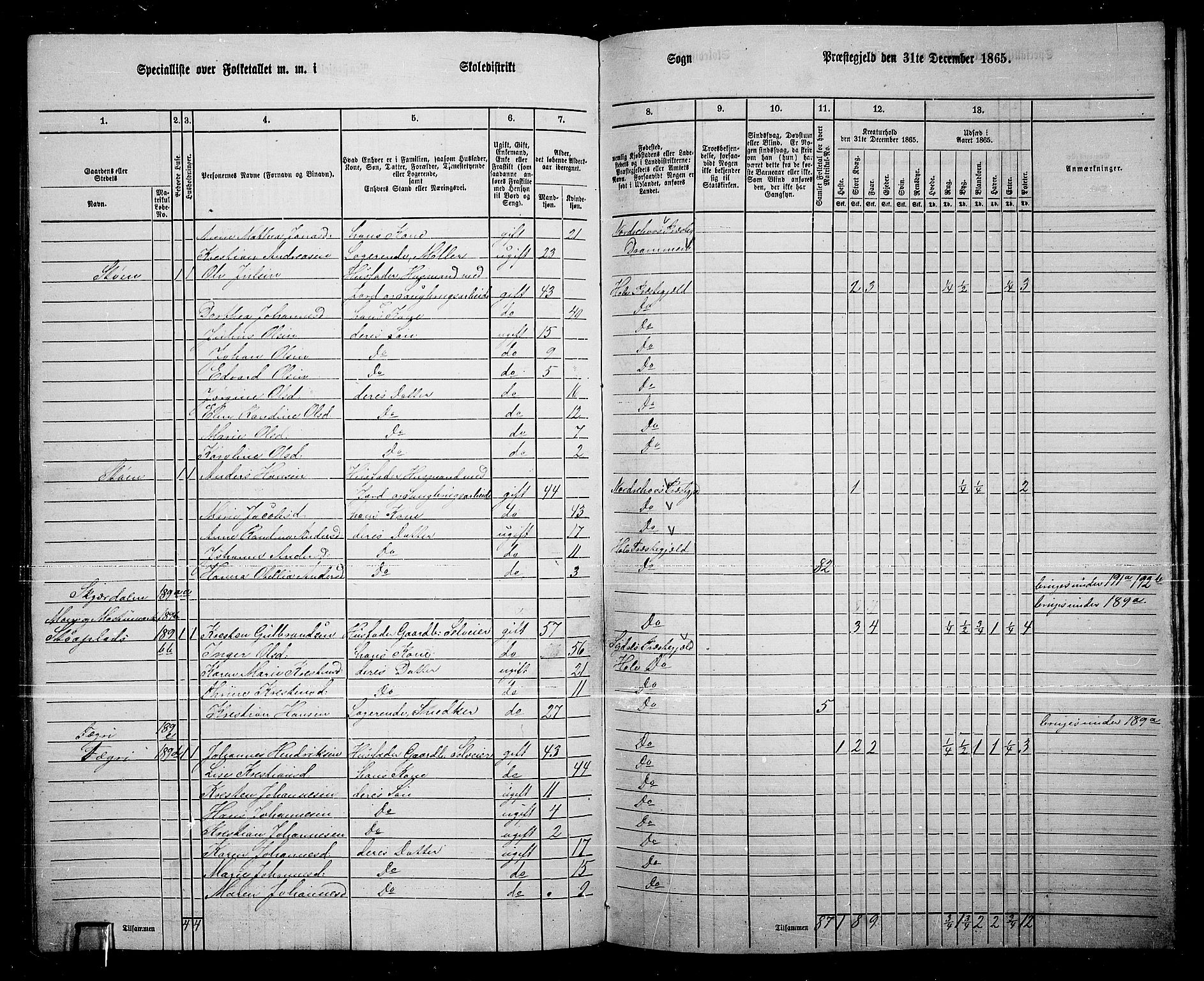 RA, 1865 census for Hole, 1865, p. 124