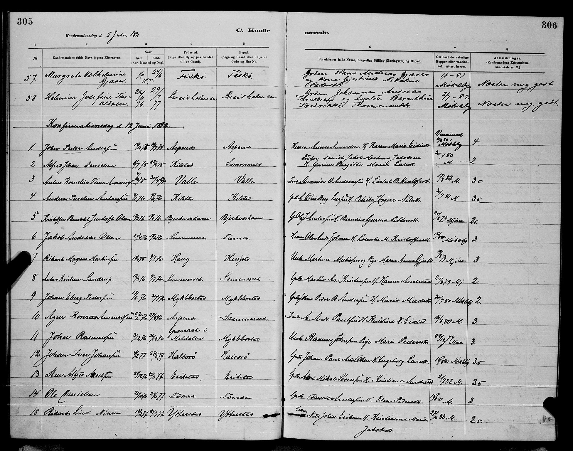 Ministerialprotokoller, klokkerbøker og fødselsregistre - Nordland, AV/SAT-A-1459/872/L1047: Parish register (copy) no. 872C03, 1880-1897, p. 305-306