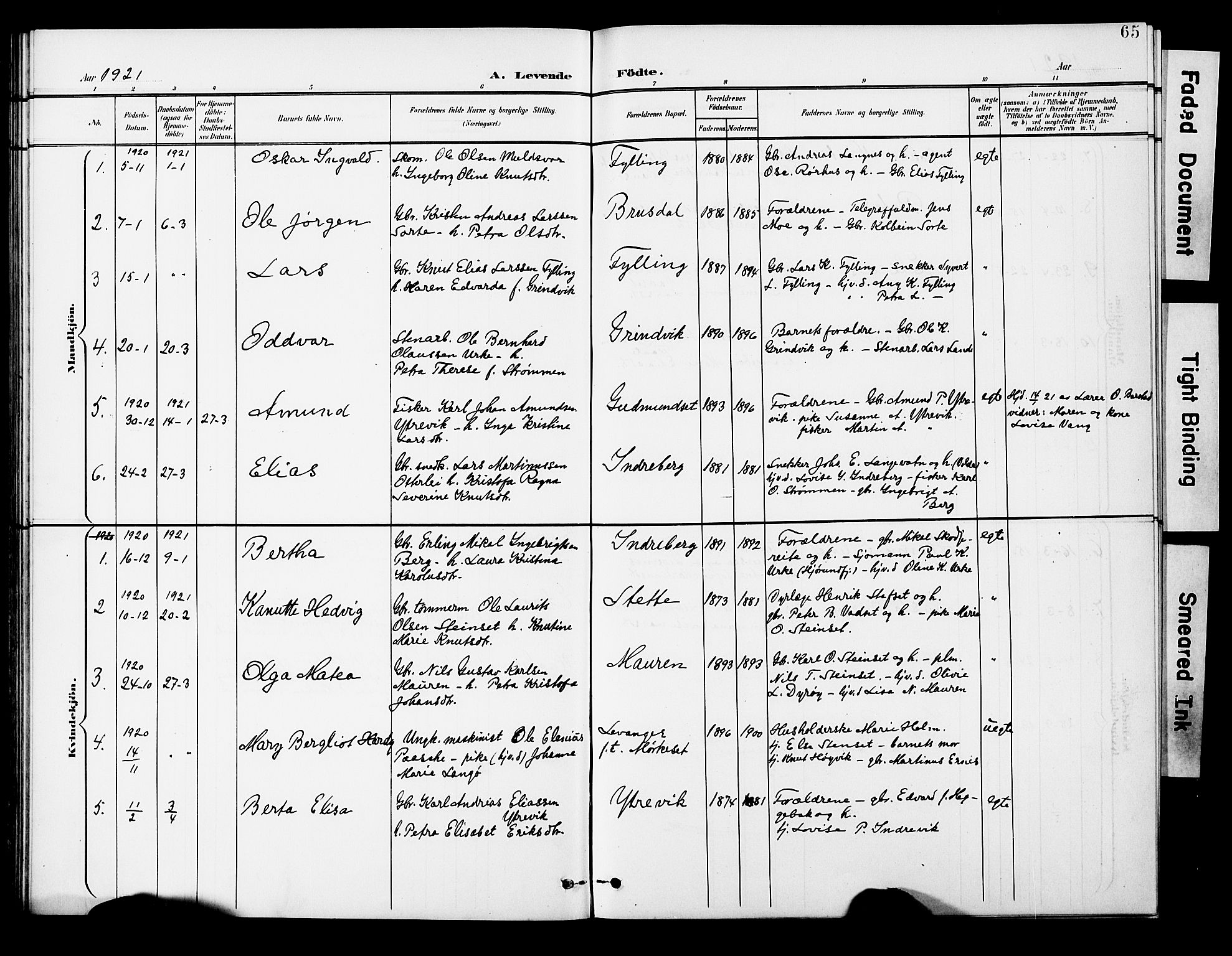 Ministerialprotokoller, klokkerbøker og fødselsregistre - Møre og Romsdal, AV/SAT-A-1454/524/L0366: Parish register (copy) no. 524C07, 1900-1931, p. 65