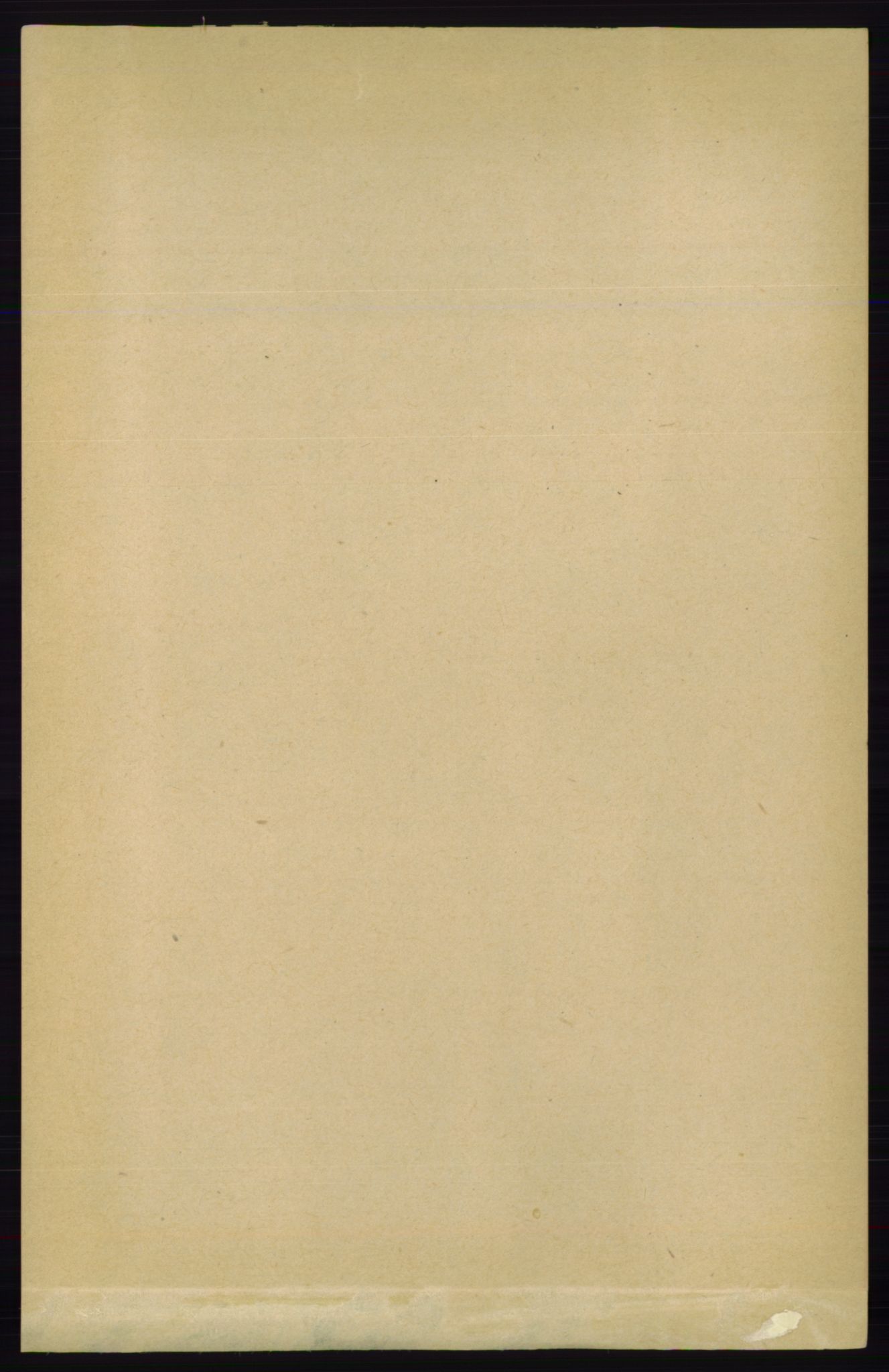 RA, 1891 census for 0912 Vegårshei, 1891, p. 1906