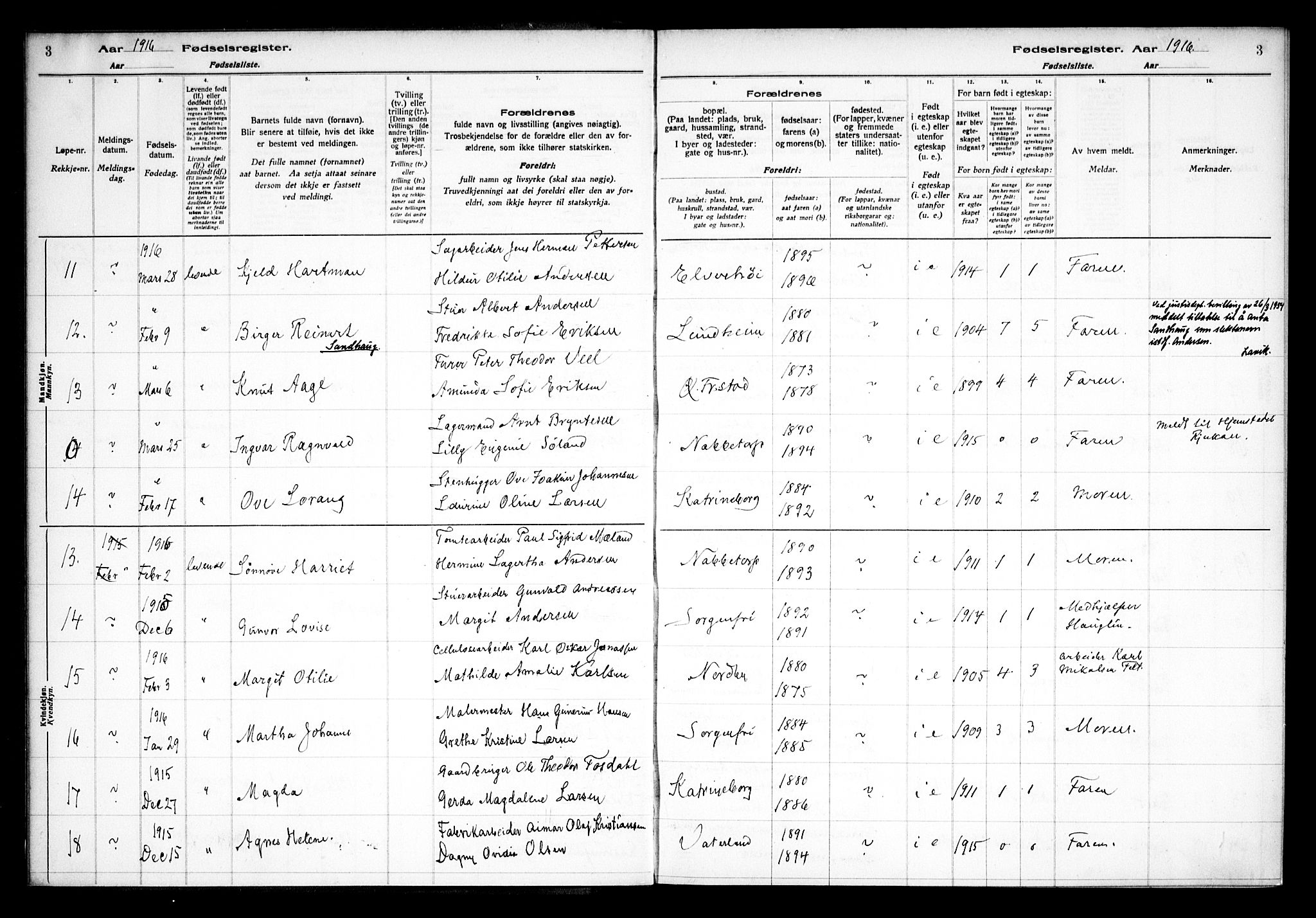 Østre Fredrikstad prestekontor Kirkebøker, SAO/A-10907/J/Ja/L0001: Birth register no. 1, 1916-1936, p. 3