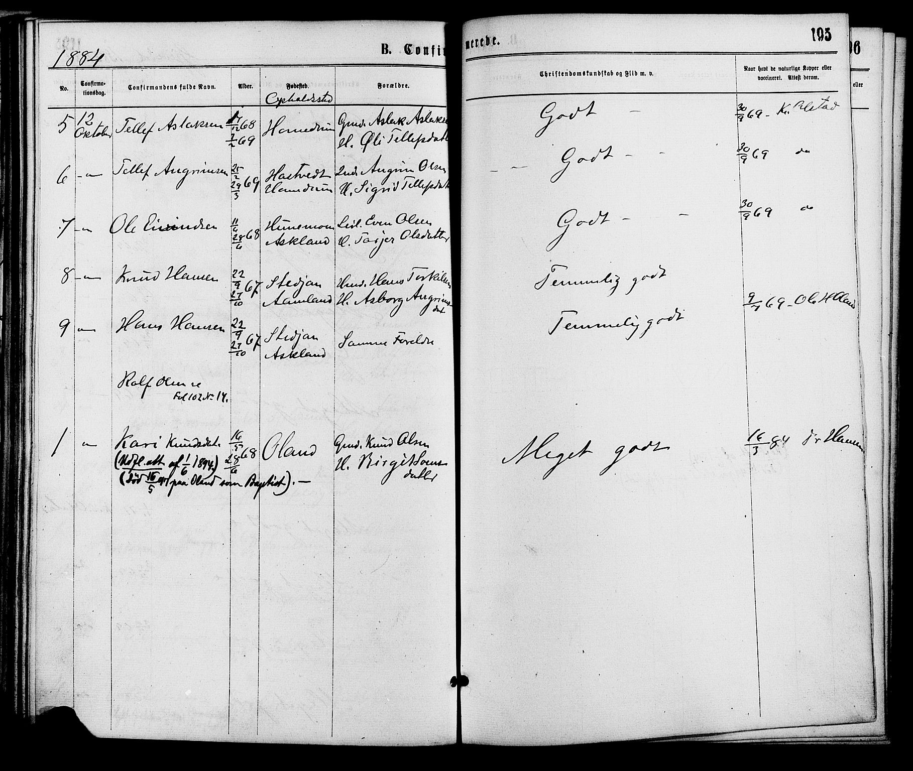 Åmli sokneprestkontor, AV/SAK-1111-0050/F/Fa/Fac/L0009: Parish register (official) no. A 9 /2, 1869-1884, p. 195