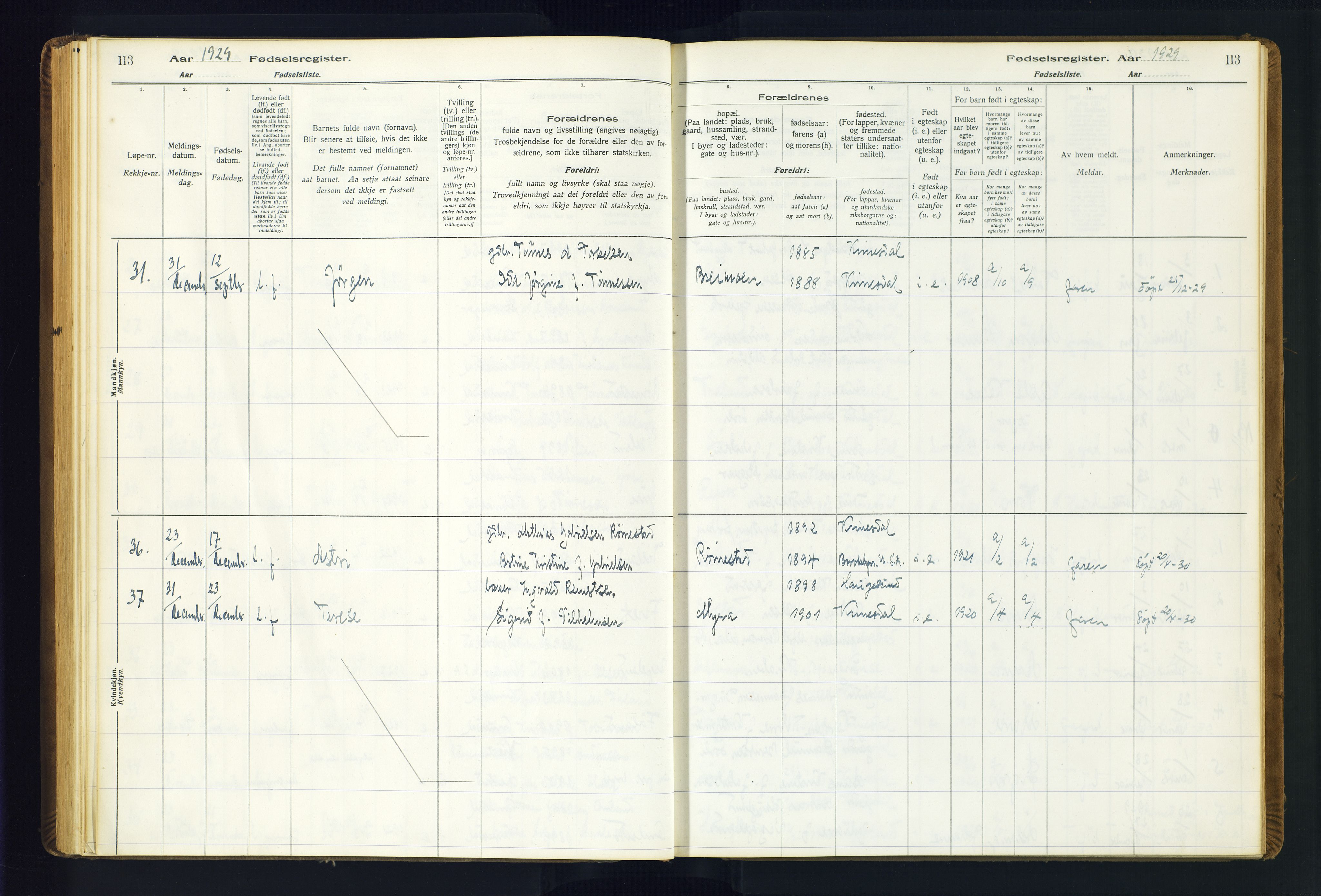 Kvinesdal sokneprestkontor, AV/SAK-1111-0026/J/Ja/L0001: Birth register no. 1, 1916-1941, p. 113