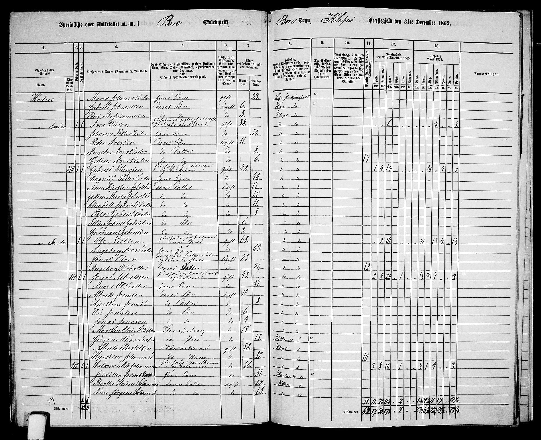 RA, 1865 census for Klepp, 1865, p. 80