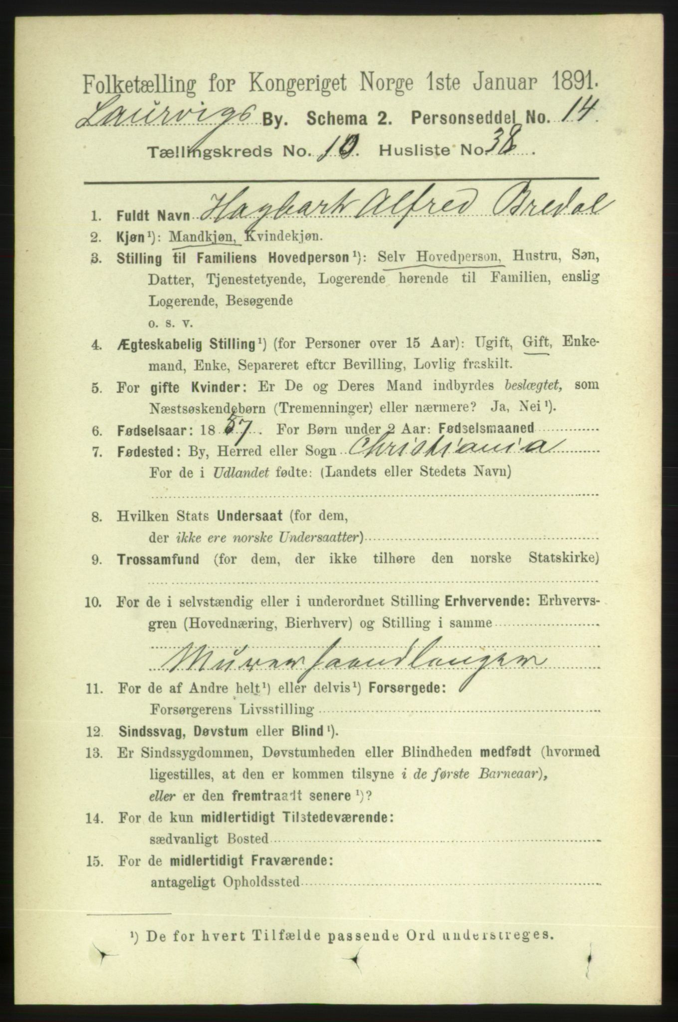 RA, 1891 census for 0707 Larvik, 1891, p. 9412