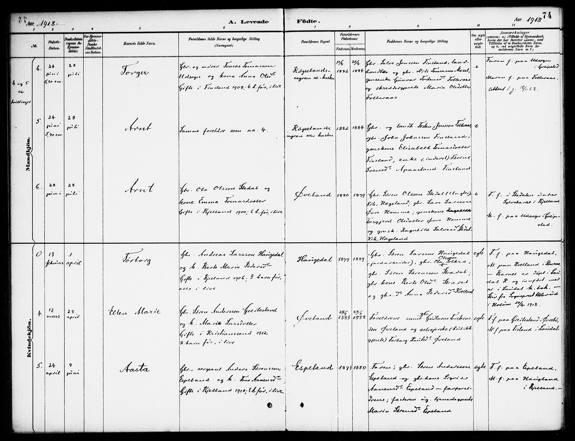 Bjelland sokneprestkontor, AV/SAK-1111-0005/F/Fa/Fab/L0004: Parish register (official) no. A 4, 1887-1920, p. 74