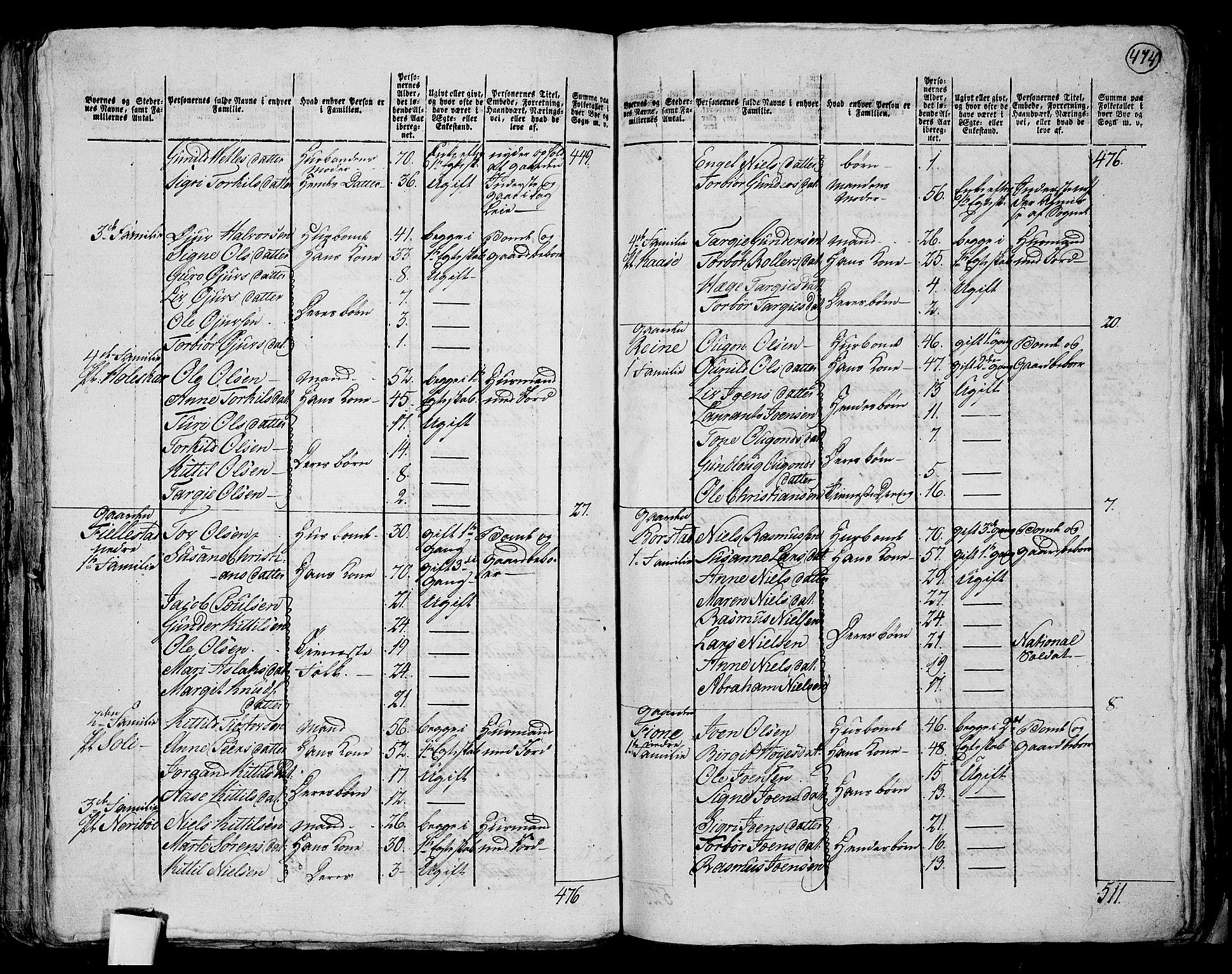 RA, 1801 census for 0829P Kviteseid, 1801, p. 473b-474a