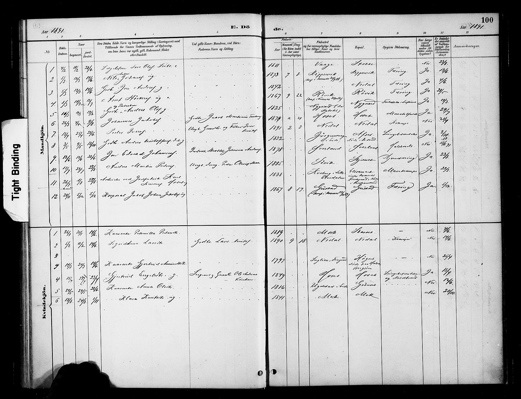 Ministerialprotokoller, klokkerbøker og fødselsregistre - Møre og Romsdal, SAT/A-1454/568/L0809: Parish register (official) no. 568A13, 1884-1900, p. 100