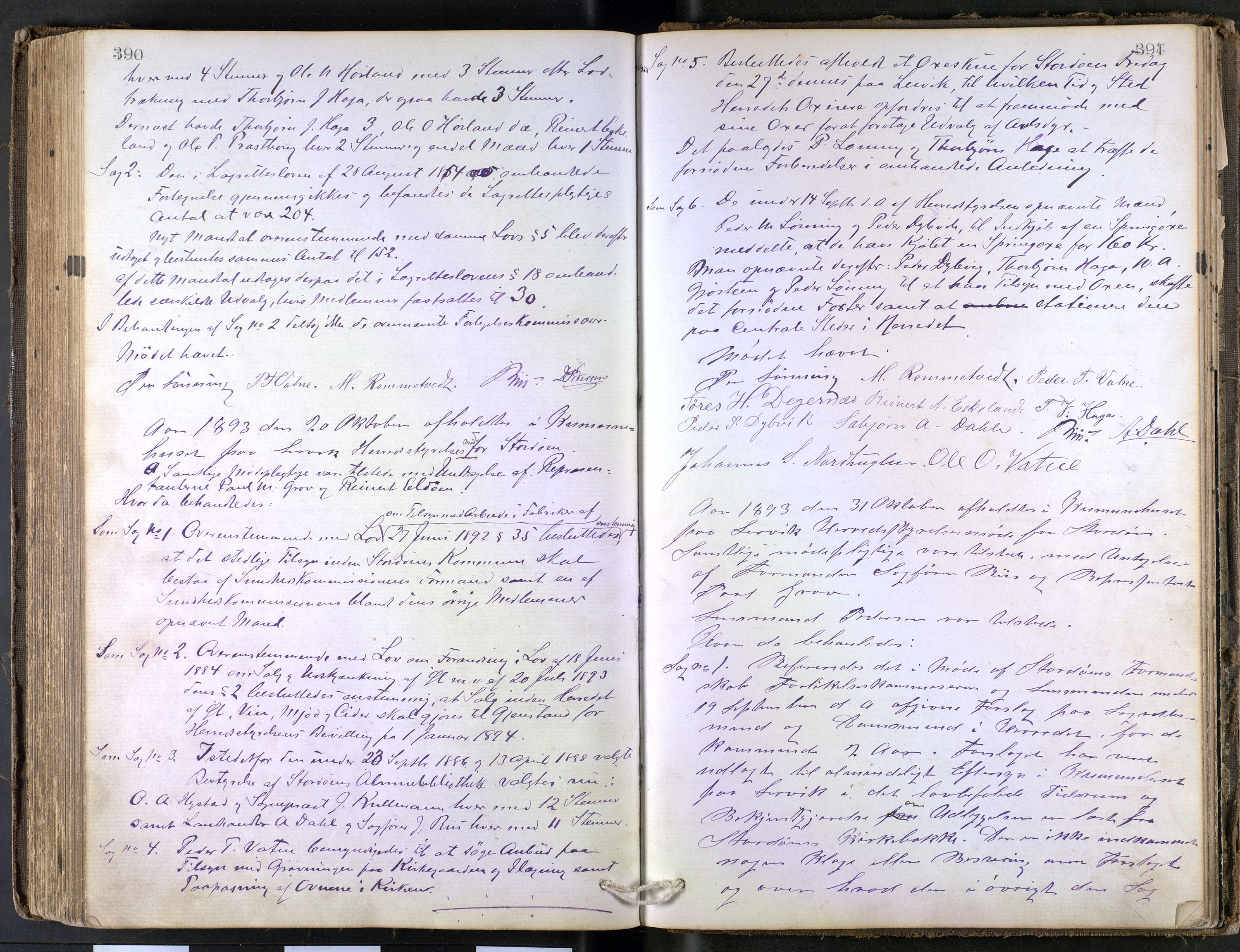 Stord kommune. Formannskapet, IKAH/1221-021/A/Aa/L0002: Møtebok for formannskapet og heradstyret , 1867-1896, p. 390-391