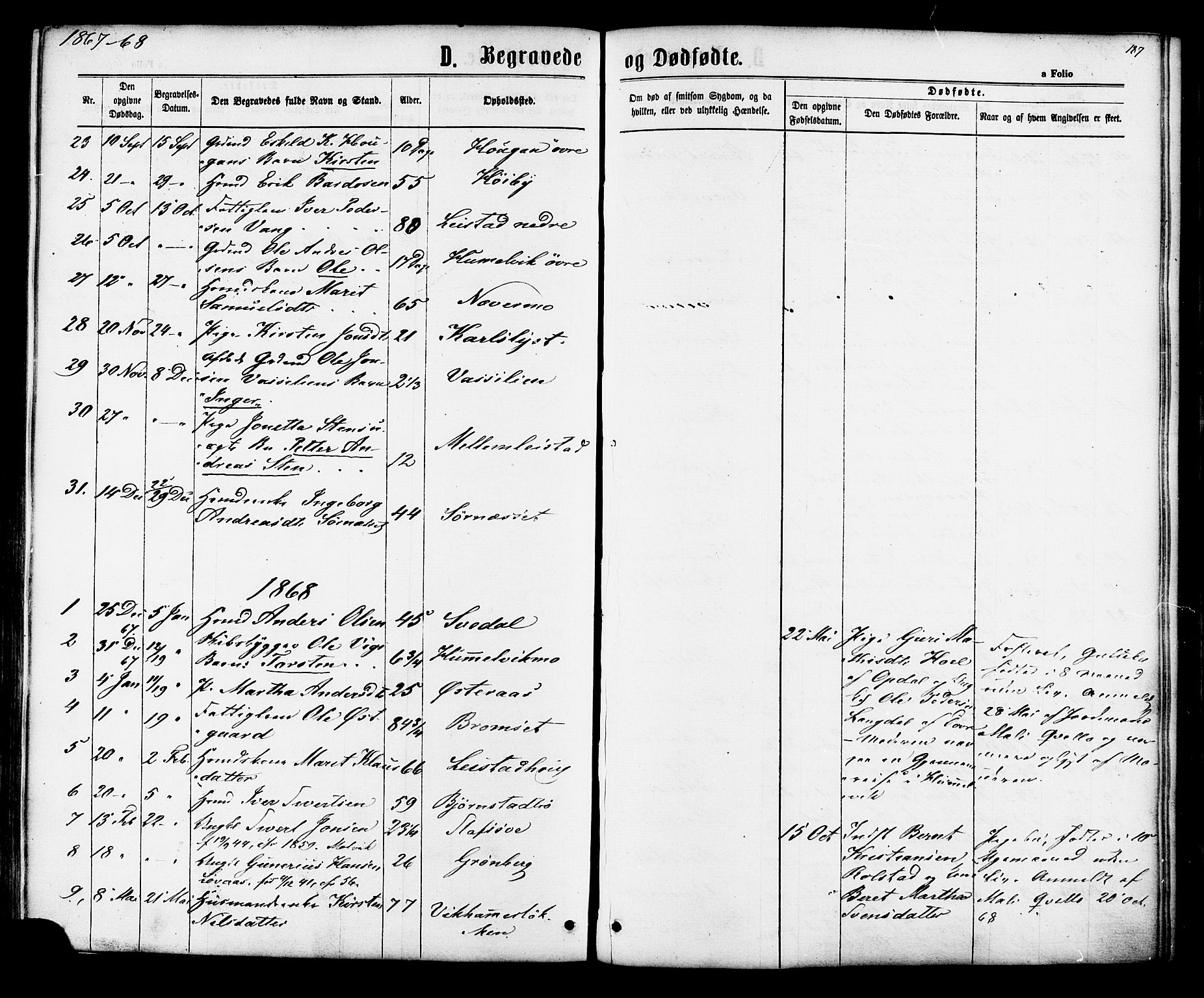 Ministerialprotokoller, klokkerbøker og fødselsregistre - Sør-Trøndelag, SAT/A-1456/616/L0409: Parish register (official) no. 616A06, 1865-1877, p. 187