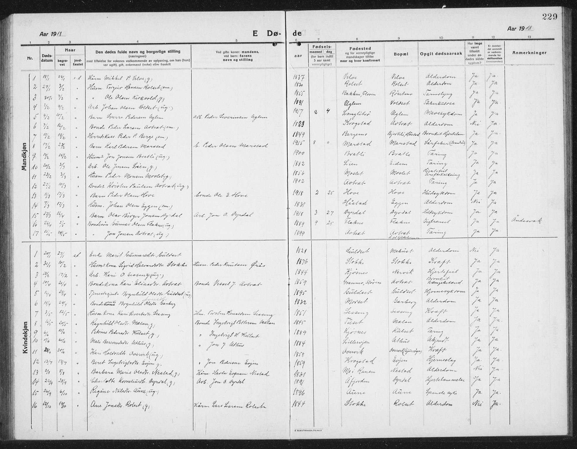 Ministerialprotokoller, klokkerbøker og fødselsregistre - Sør-Trøndelag, SAT/A-1456/695/L1158: Parish register (copy) no. 695C09, 1913-1940, p. 229