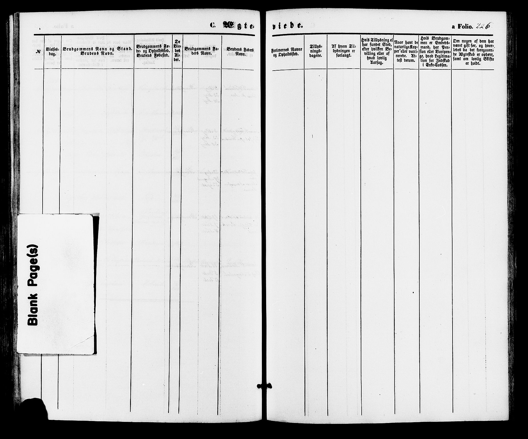 Bjelland sokneprestkontor, AV/SAK-1111-0005/F/Fa/Faa/L0003: Parish register (official) no. A 3, 1867-1887, p. 226