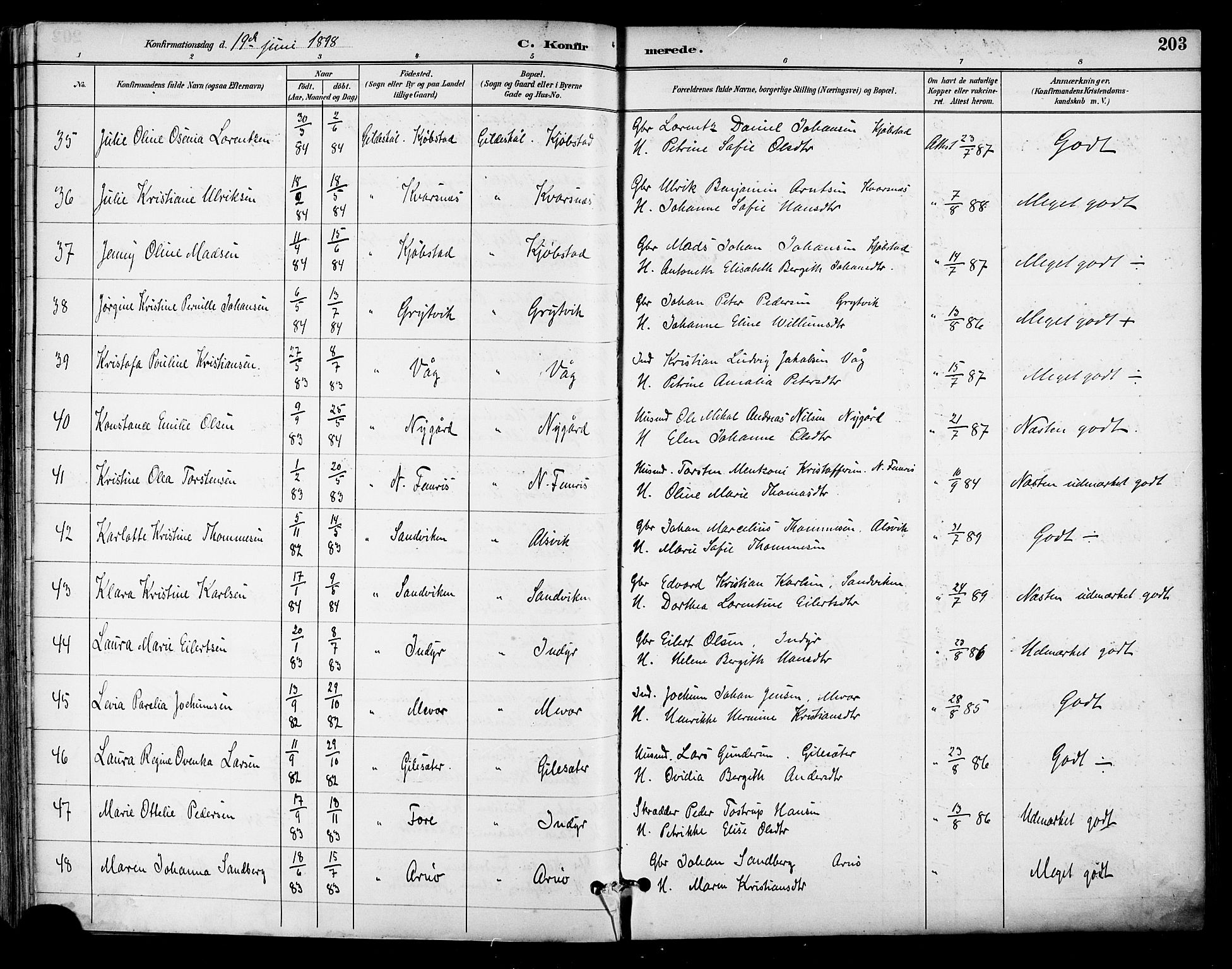 Ministerialprotokoller, klokkerbøker og fødselsregistre - Nordland, AV/SAT-A-1459/805/L0101: Parish register (official) no. 805A07, 1892-1899, p. 203