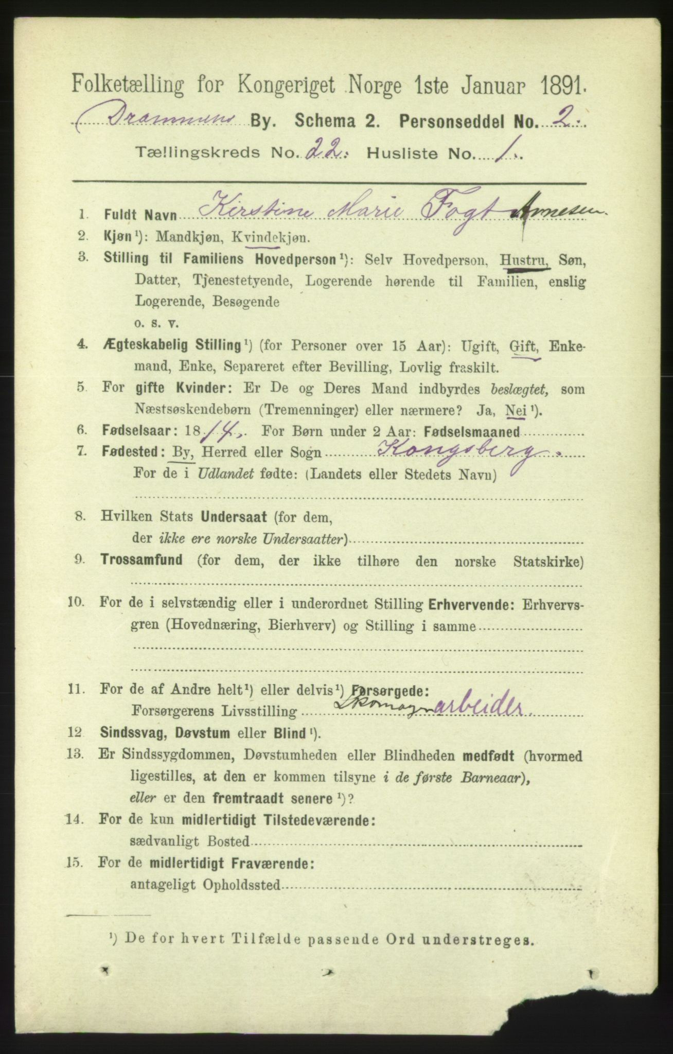 RA, 1891 census for 0602 Drammen, 1891, p. 13551