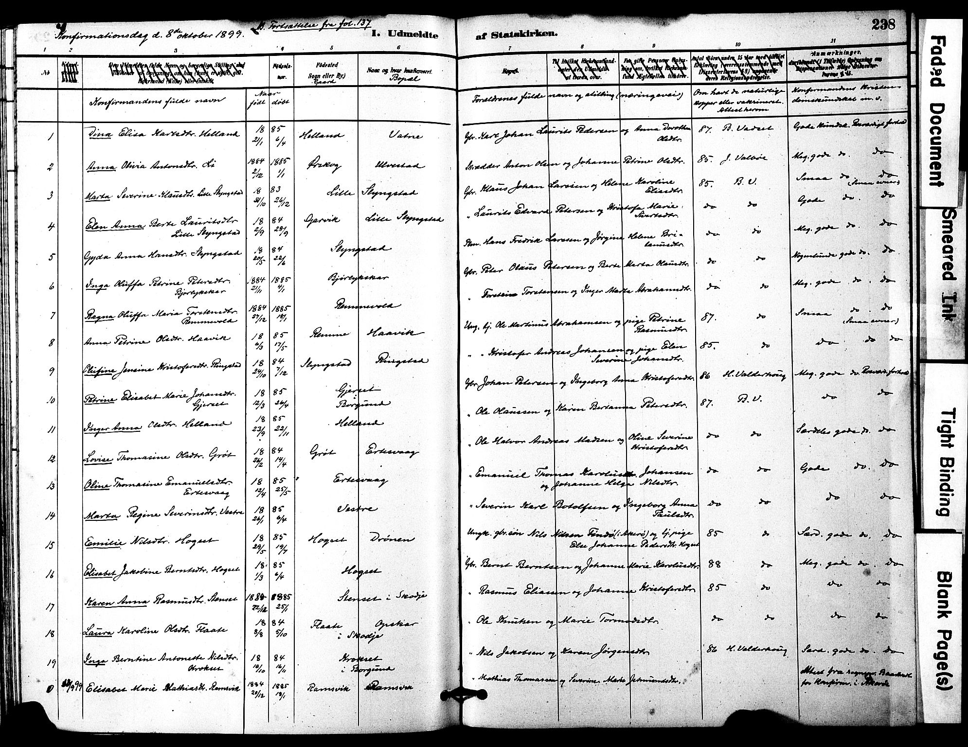 Ministerialprotokoller, klokkerbøker og fødselsregistre - Møre og Romsdal, AV/SAT-A-1454/525/L0374: Parish register (official) no. 525A04, 1880-1899, p. 238