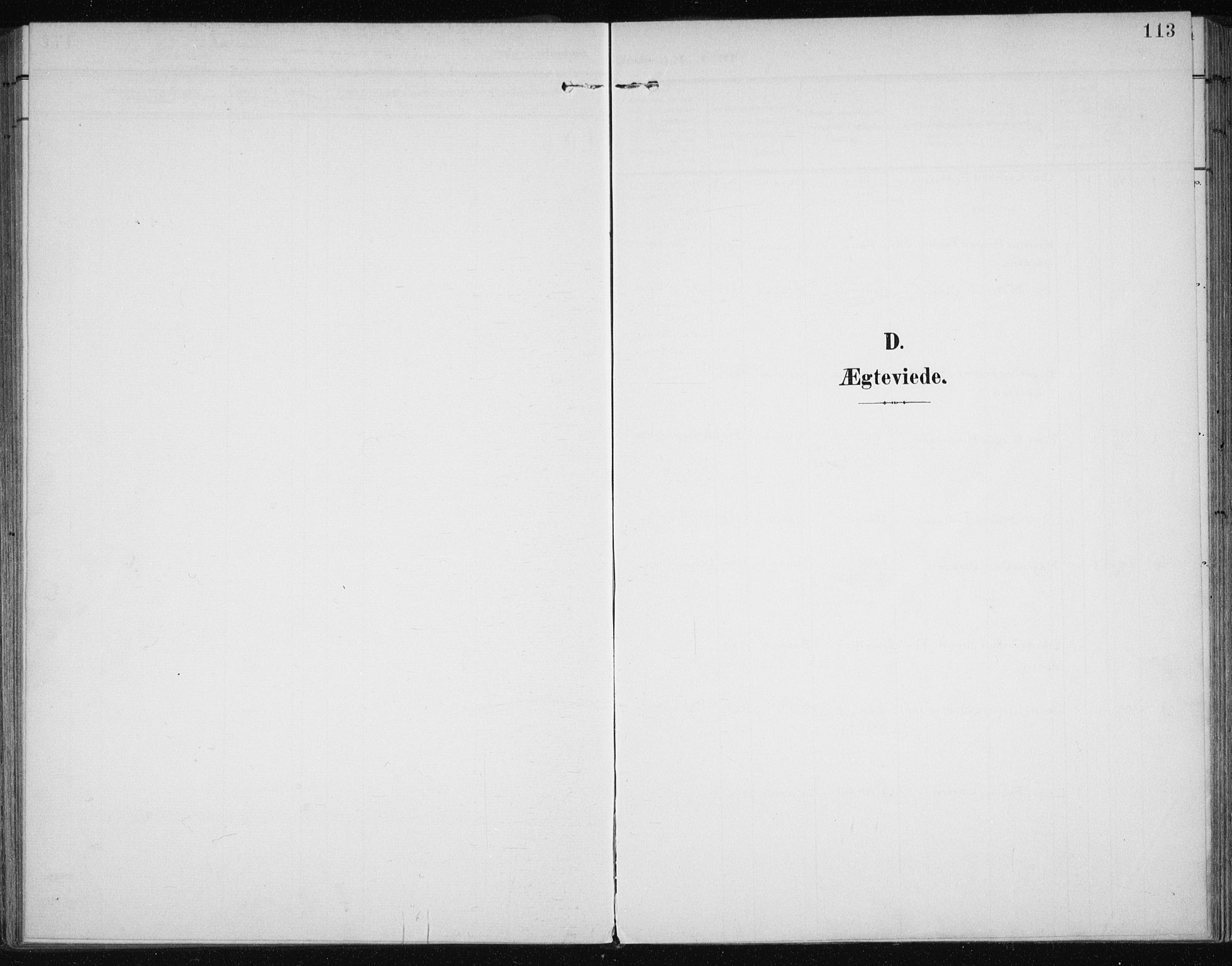 Karlsøy sokneprestembete, SATØ/S-1299/H/Ha/Haa/L0013kirke: Parish register (official) no. 13, 1902-1916, p. 113
