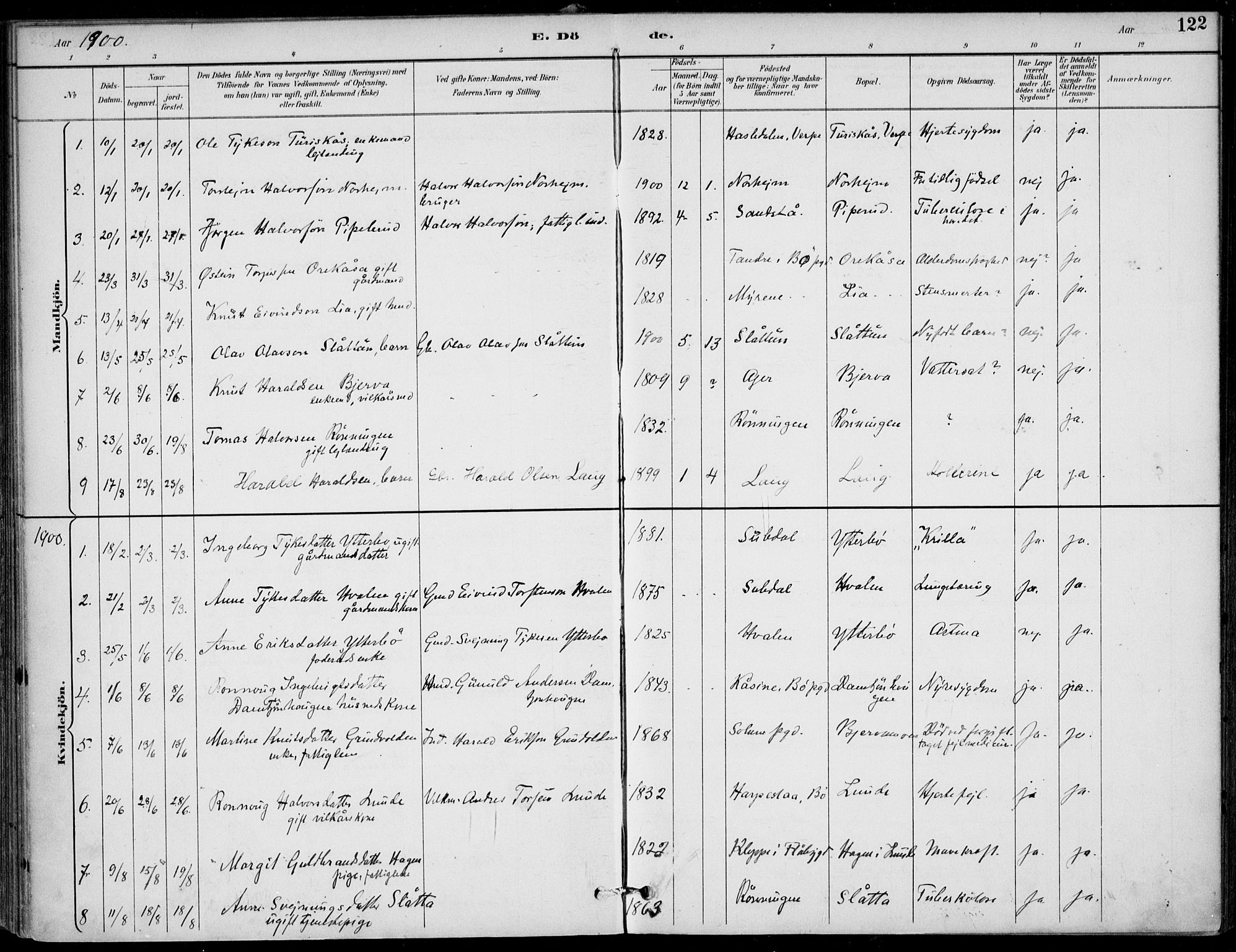 Lunde kirkebøker, SAKO/A-282/F/Fa/L0003: Parish register (official) no. I 3, 1893-1902, p. 122