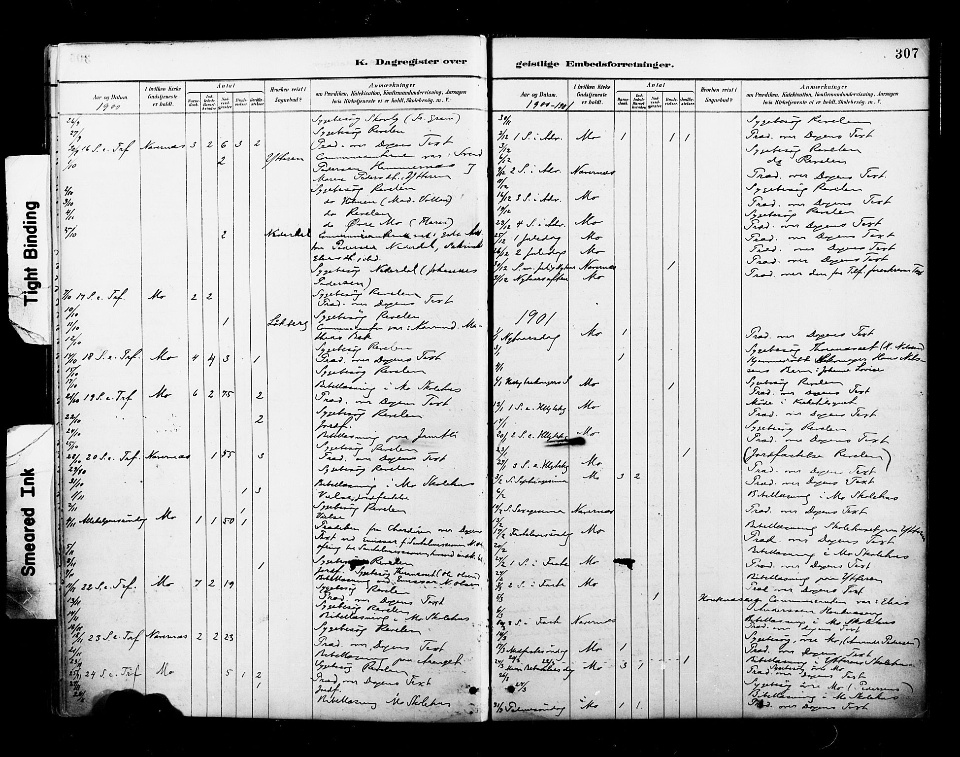 Ministerialprotokoller, klokkerbøker og fødselsregistre - Nordland, AV/SAT-A-1459/827/L0401: Parish register (official) no. 827A13, 1887-1905, p. 307