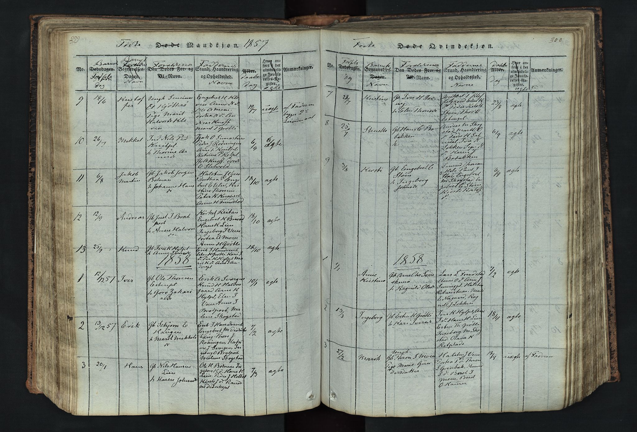 Kvikne prestekontor, SAH/PREST-064/H/Ha/Hab/L0001: Parish register (copy) no. 1, 1815-1895, p. 299-300