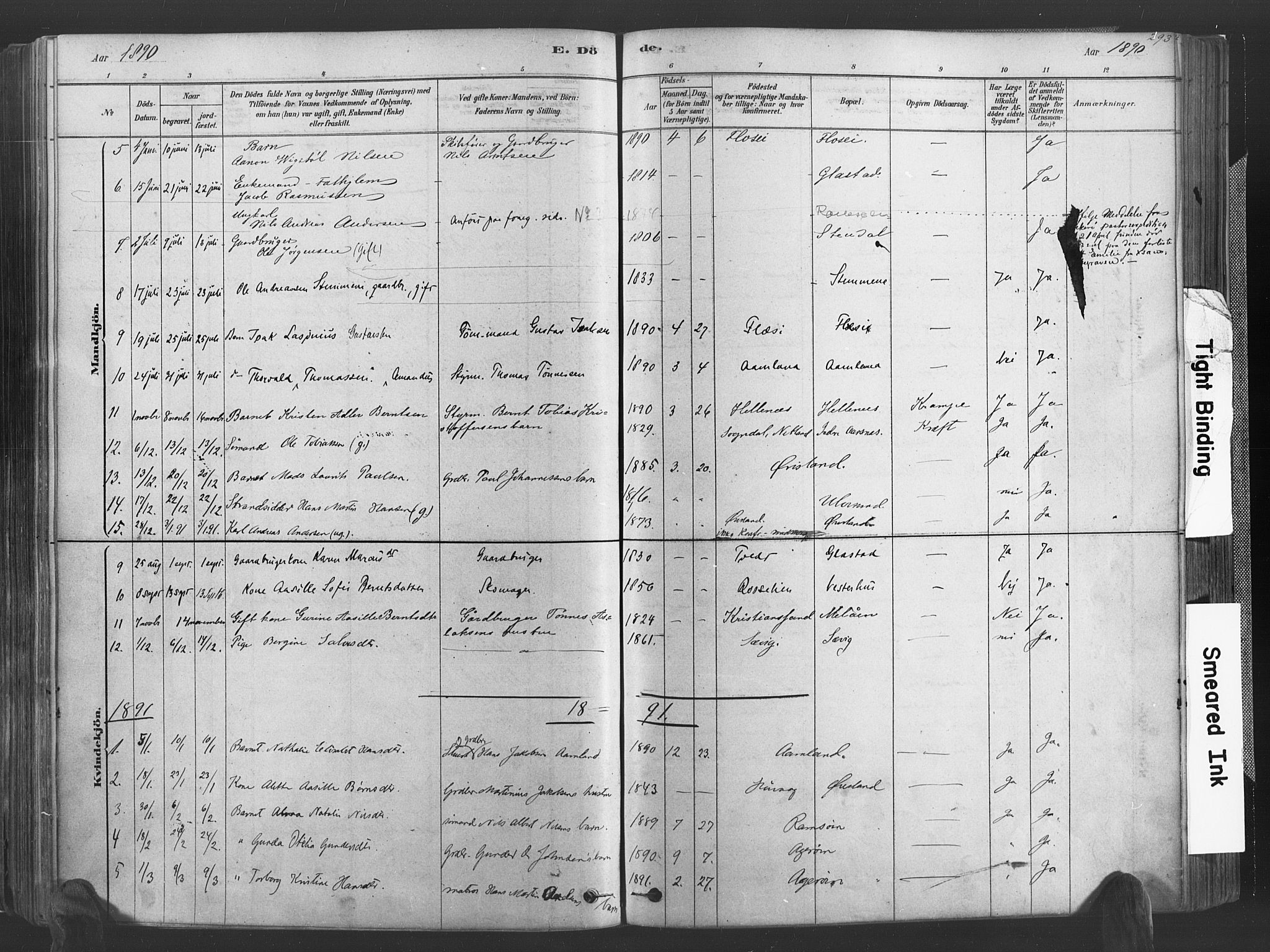 Høvåg sokneprestkontor, SAK/1111-0025/F/Fa/L0005: Parish register (official) no. A 5, 1878-1893, p. 293