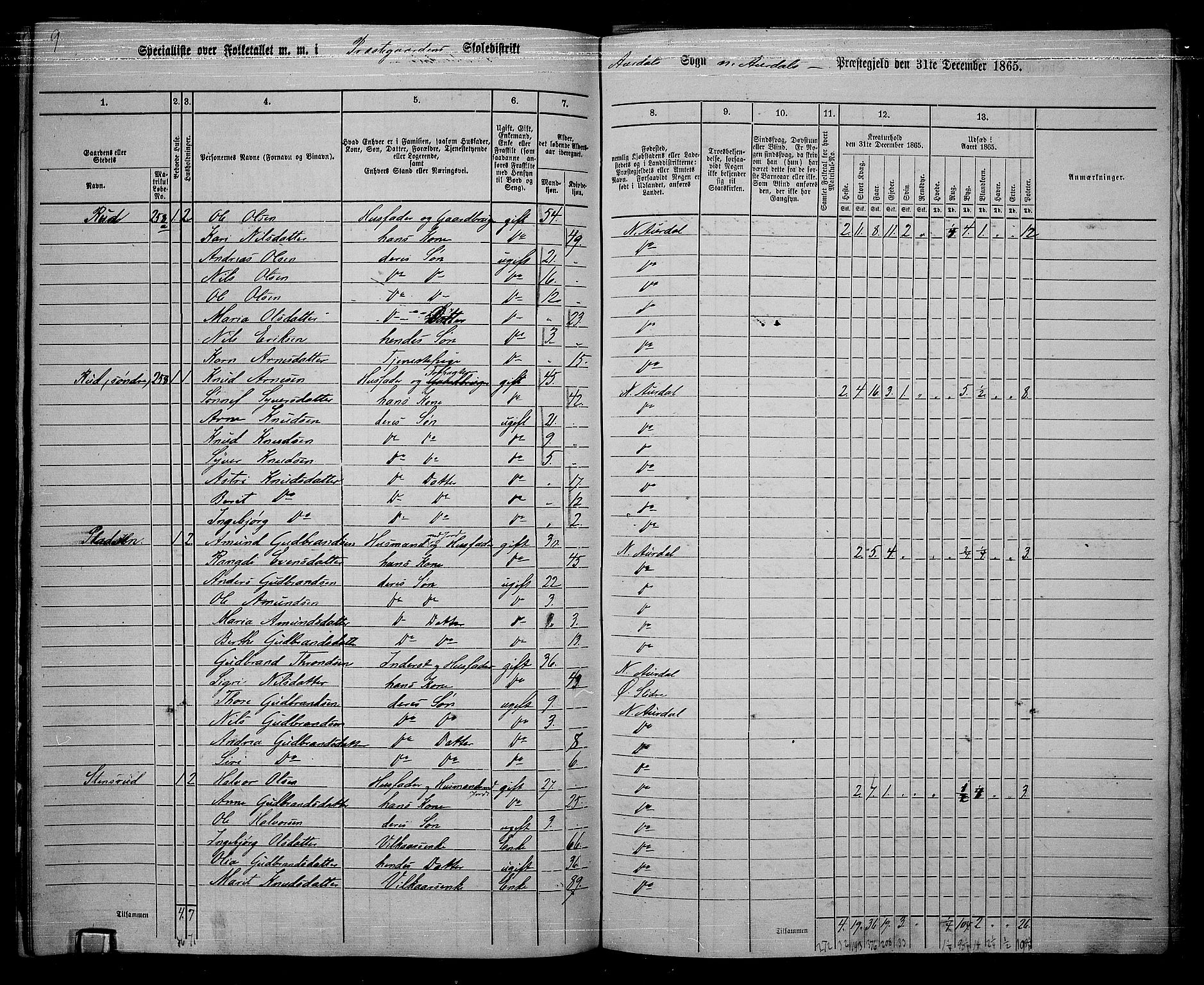RA, 1865 census for Nord-Aurdal, 1865, p. 172