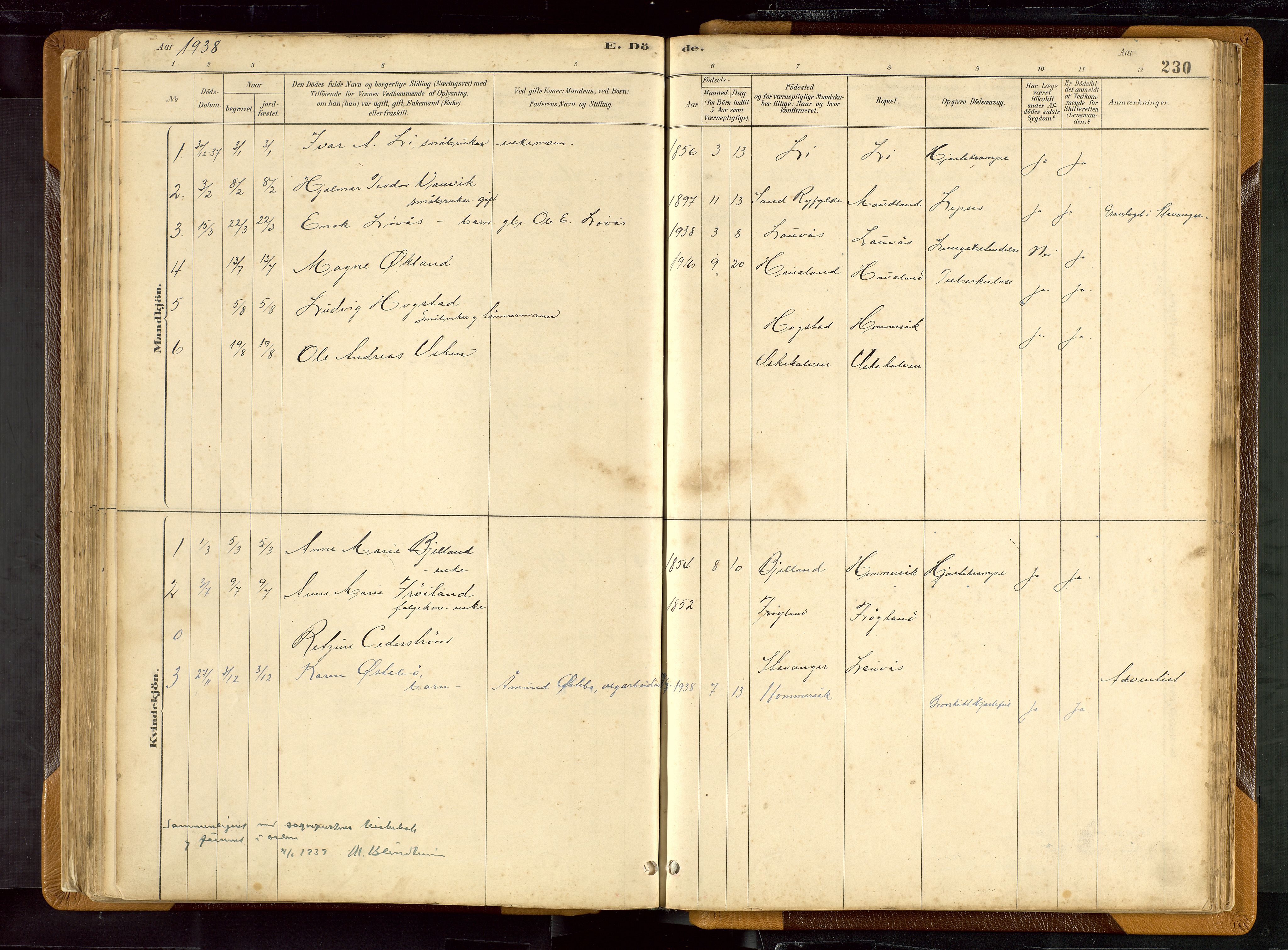 Hetland sokneprestkontor, SAST/A-101826/30/30BB/L0007: Parish register (copy) no. B 7, 1878-1910, p. 230