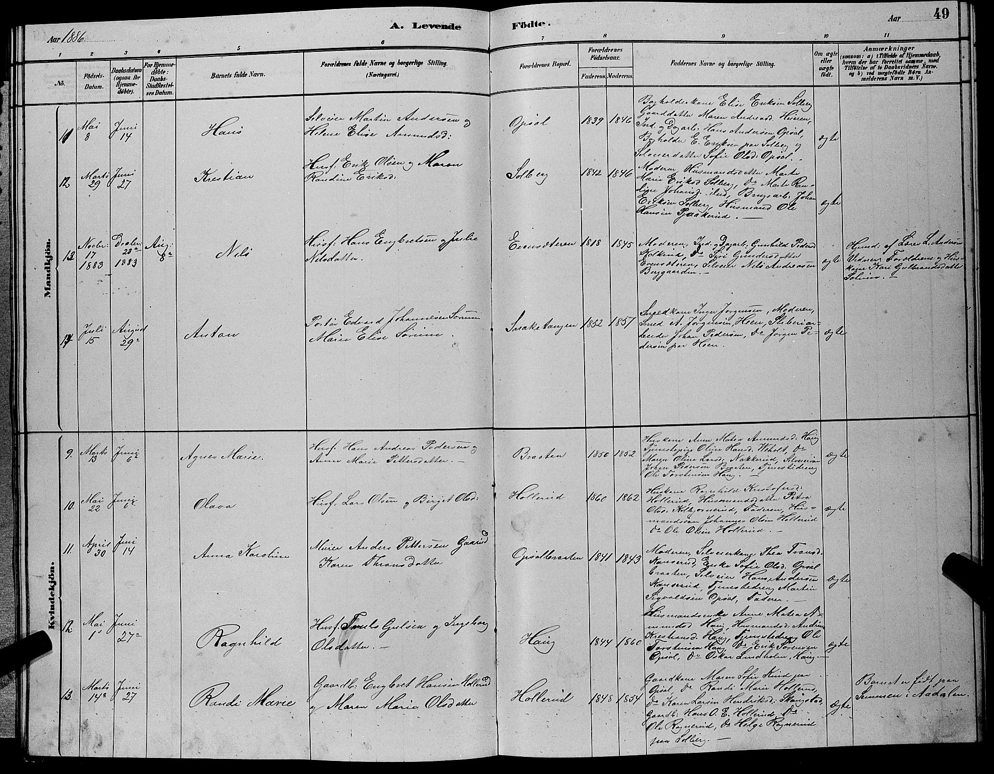 Hole kirkebøker, AV/SAKO-A-228/G/Gb/L0002: Parish register (copy) no. II 2, 1878-1889, p. 49