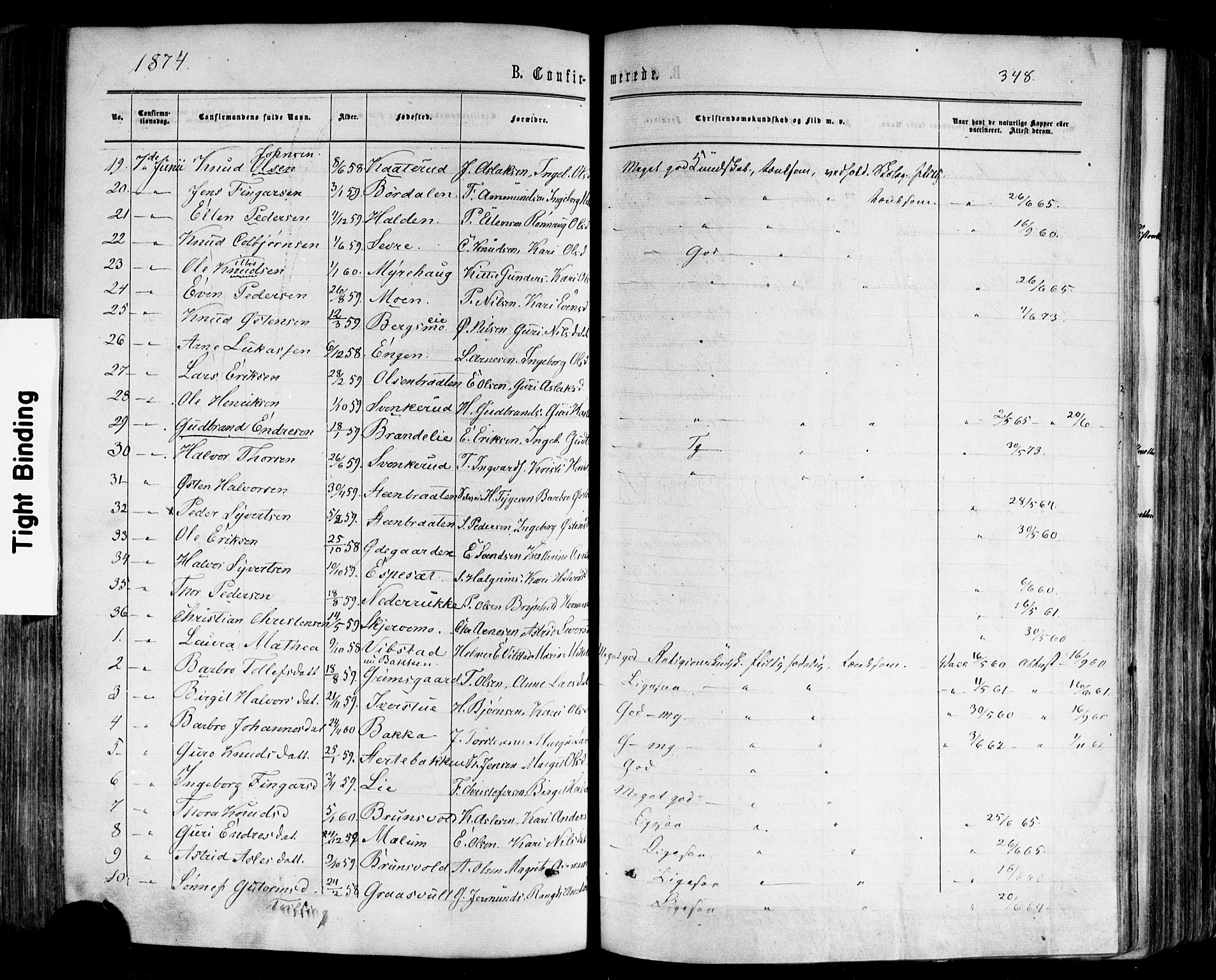 Nes kirkebøker, AV/SAKO-A-236/F/Fa/L0010: Parish register (official) no. 10, 1864-1880, p. 348