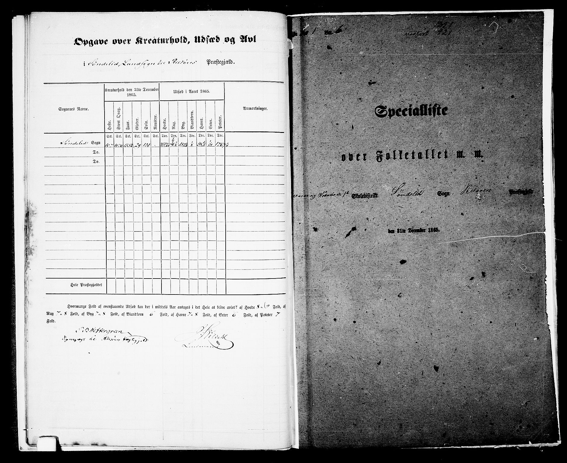 RA, 1865 census for Risør/Søndeled, 1865, p. 10