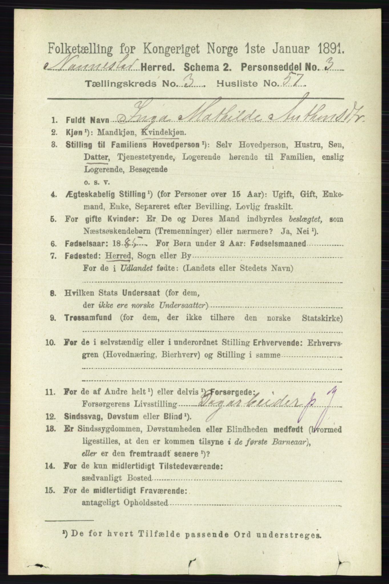 RA, 1891 census for 0238 Nannestad, 1891, p. 1805