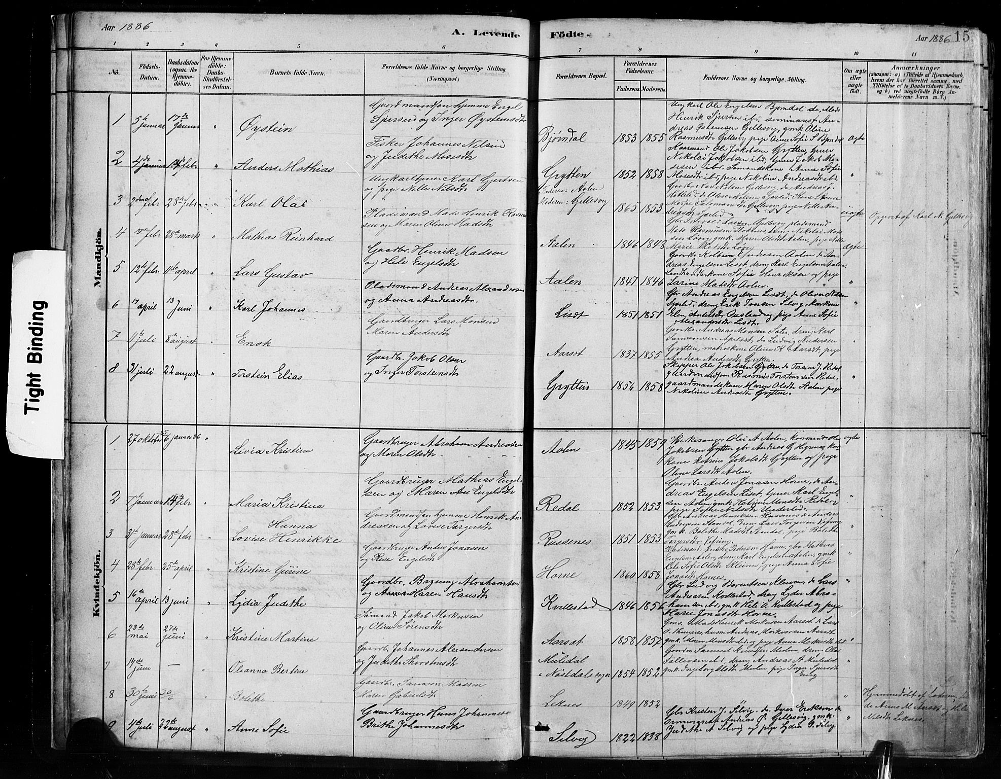 Førde sokneprestembete, SAB/A-79901/H/Hab/Habe/L0001: Parish register (copy) no. E 1, 1881-1920, p. 15