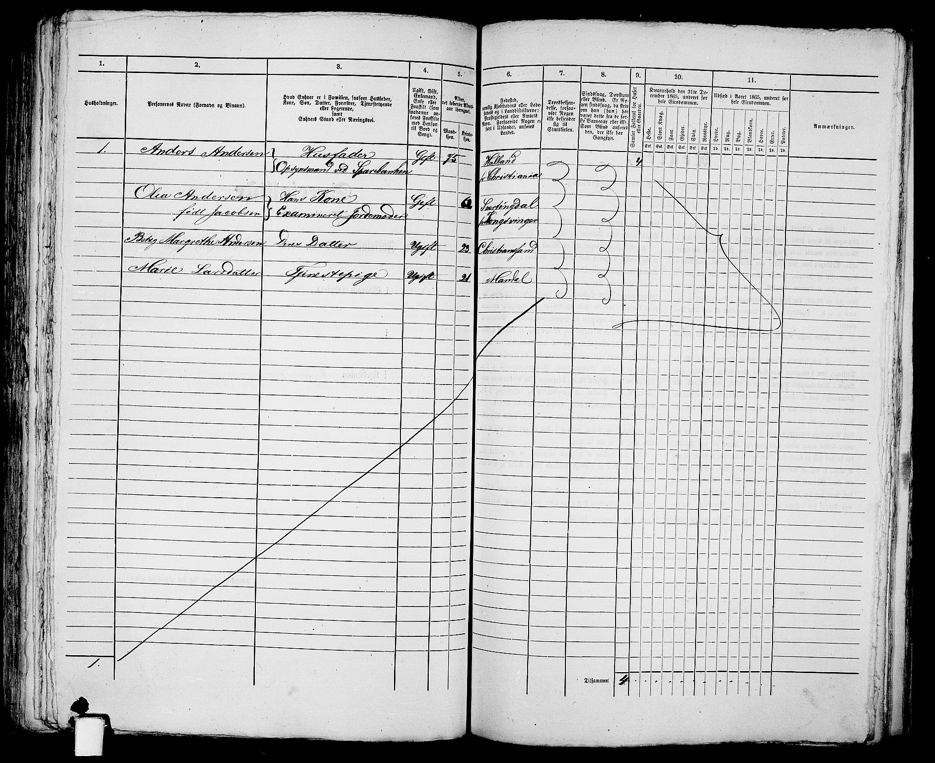 RA, 1865 census for Kristiansand, 1865, p. 248