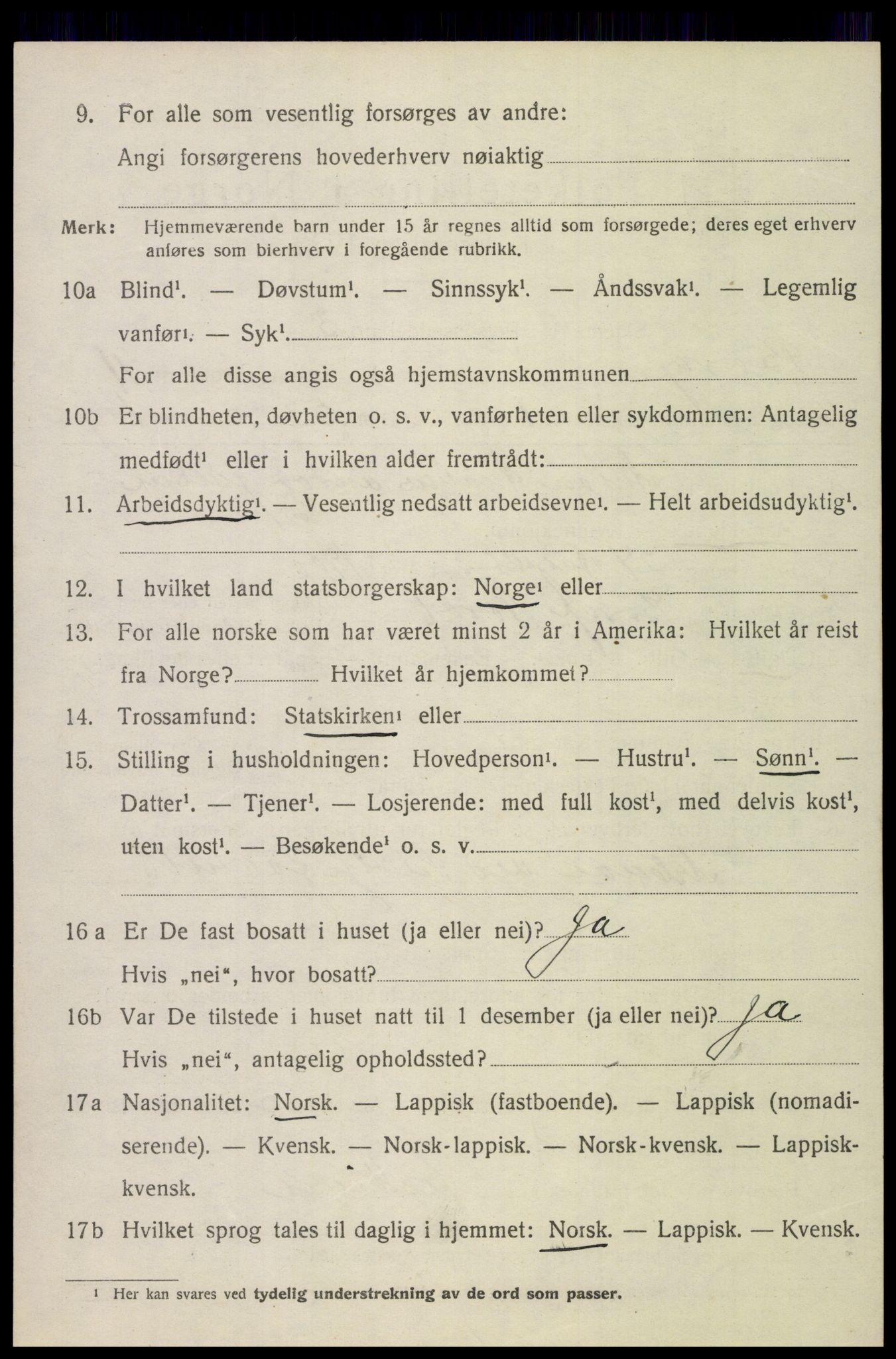 SAT, 1920 census for Borge, 1920, p. 9424